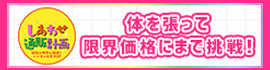 『しあわせ通販計画 ~値段の限界に挑戦!いいモノ大放出SP~』