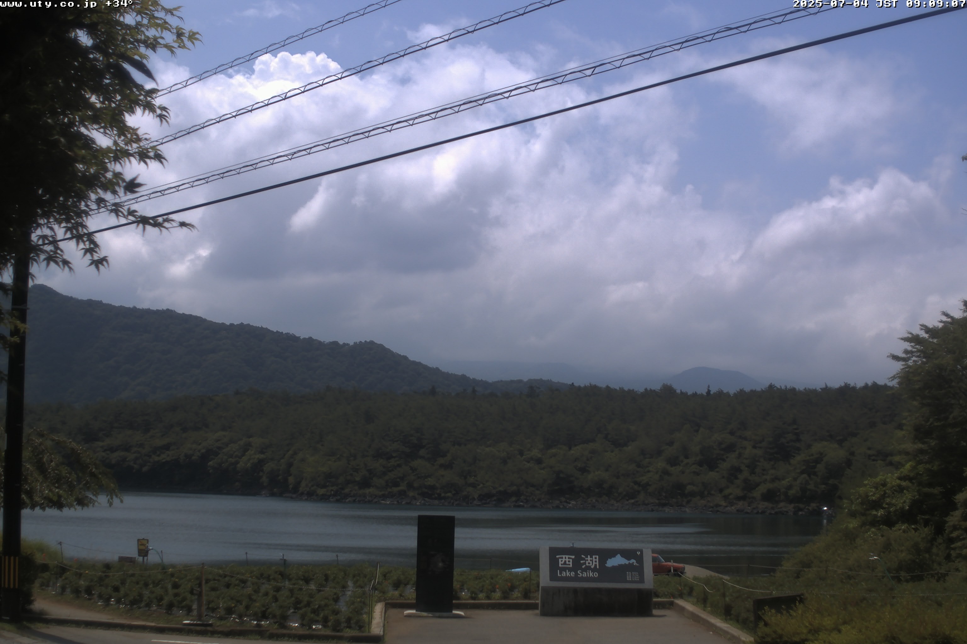 西湖ライブカメラ