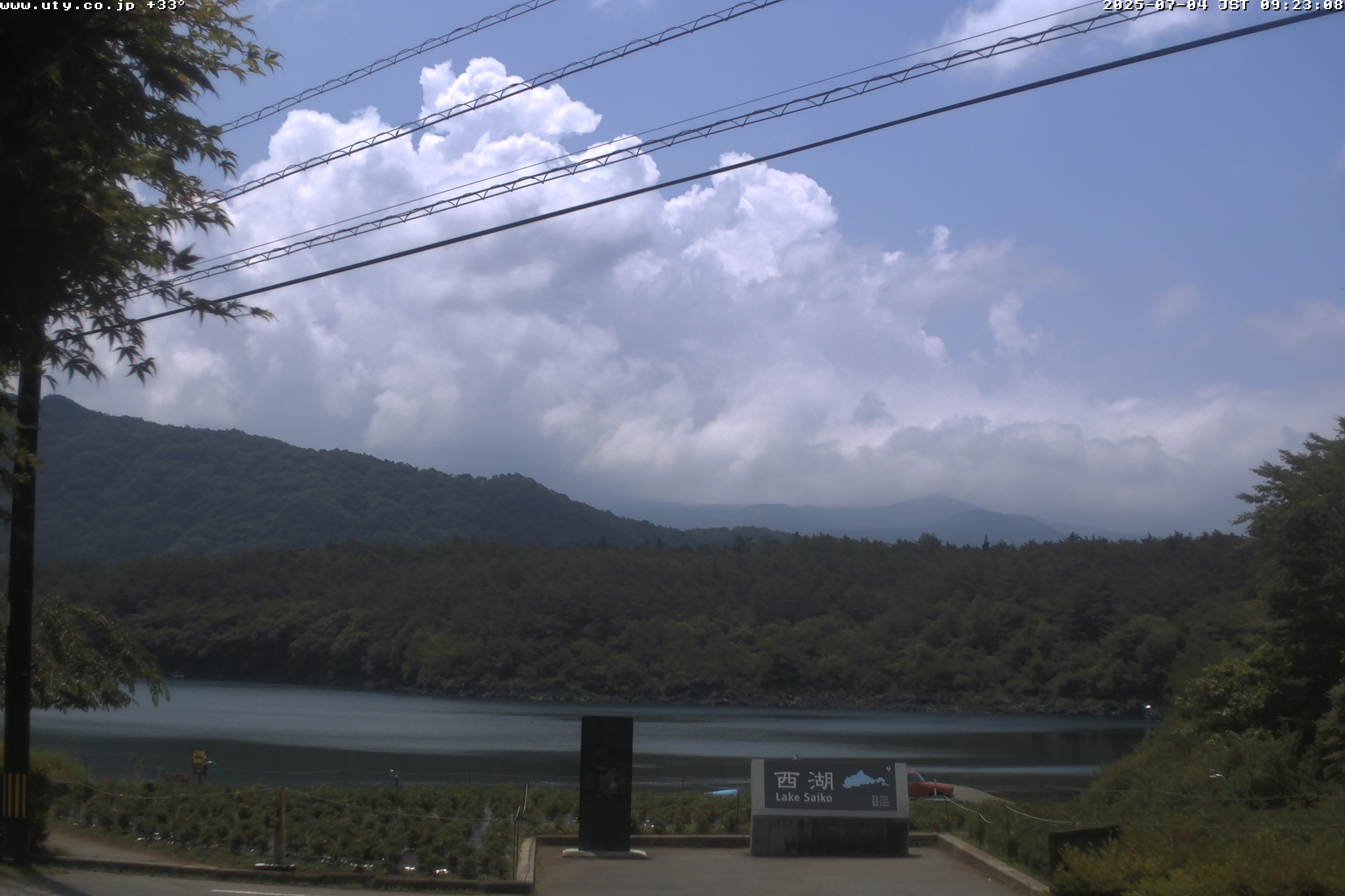 西湖ライブカメラ