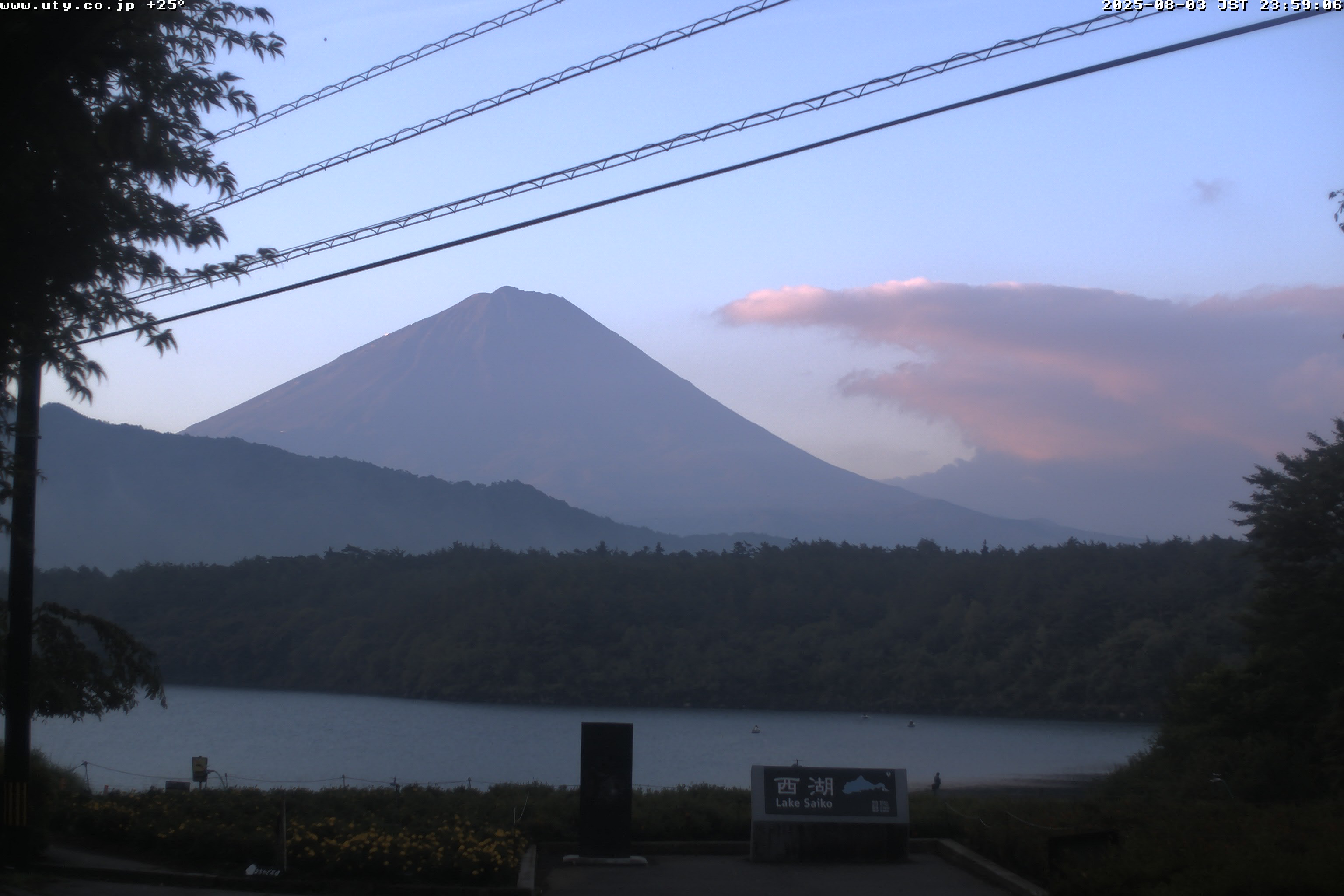 西湖ライブカメラ