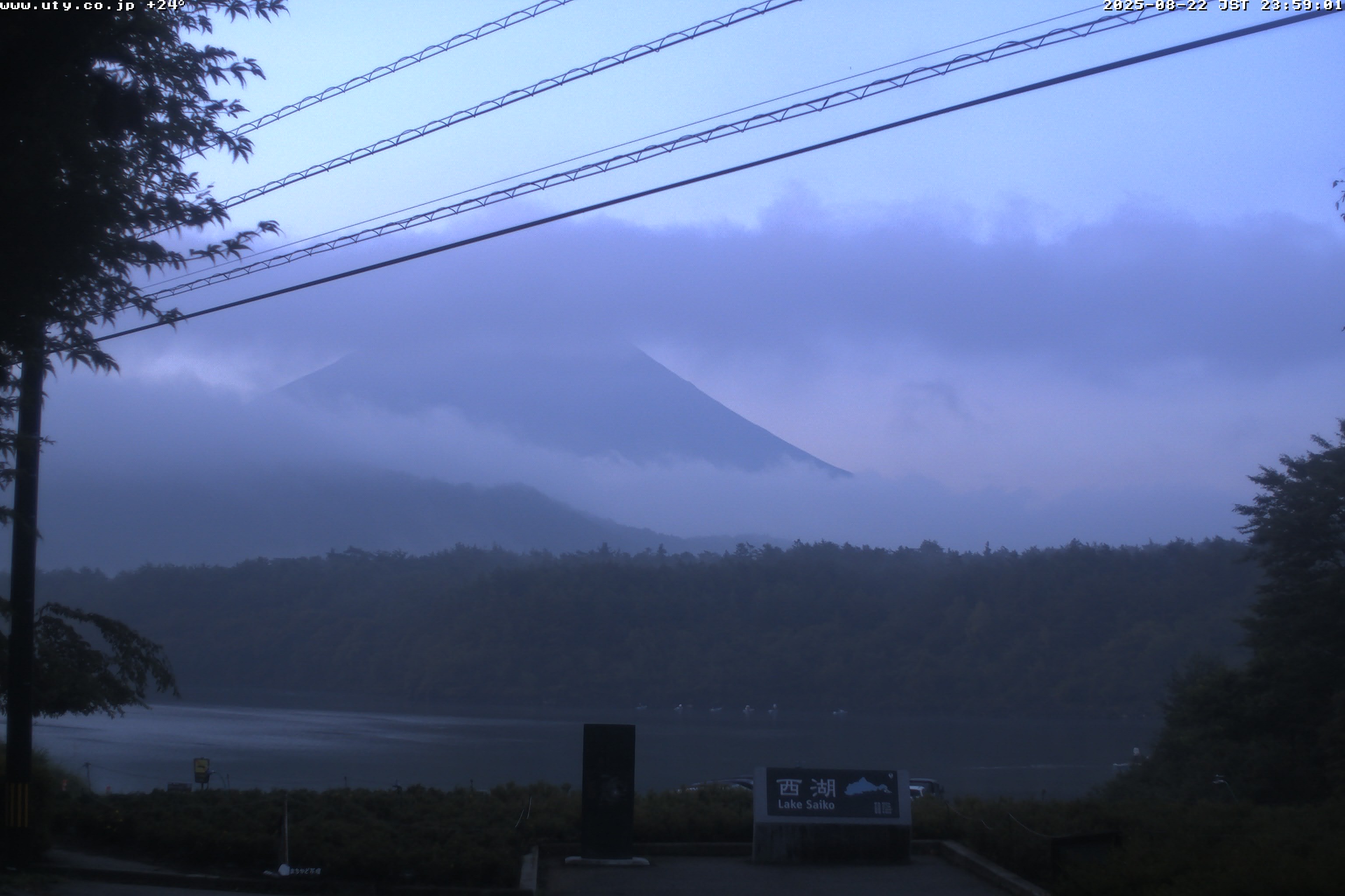 西湖ライブカメラ