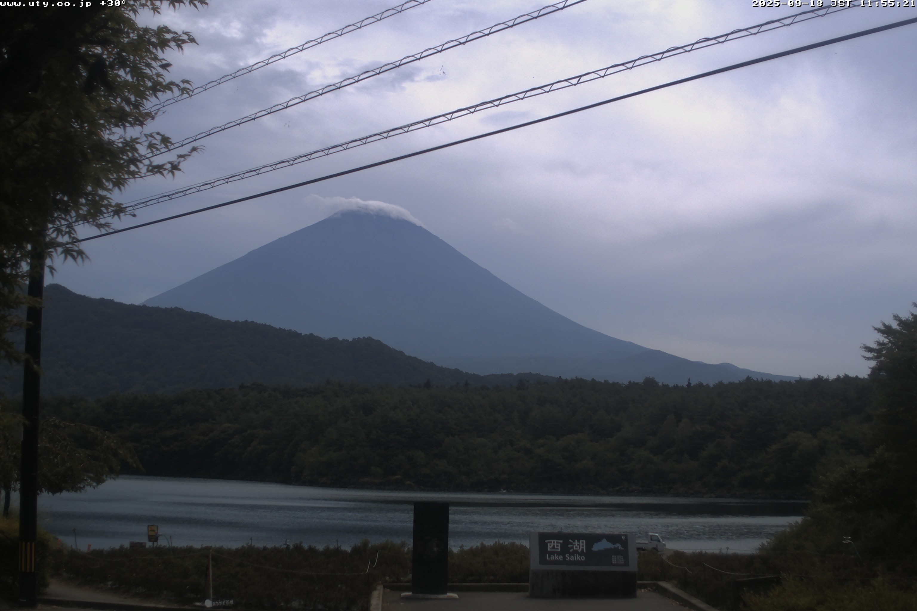 西湖ライブカメラ