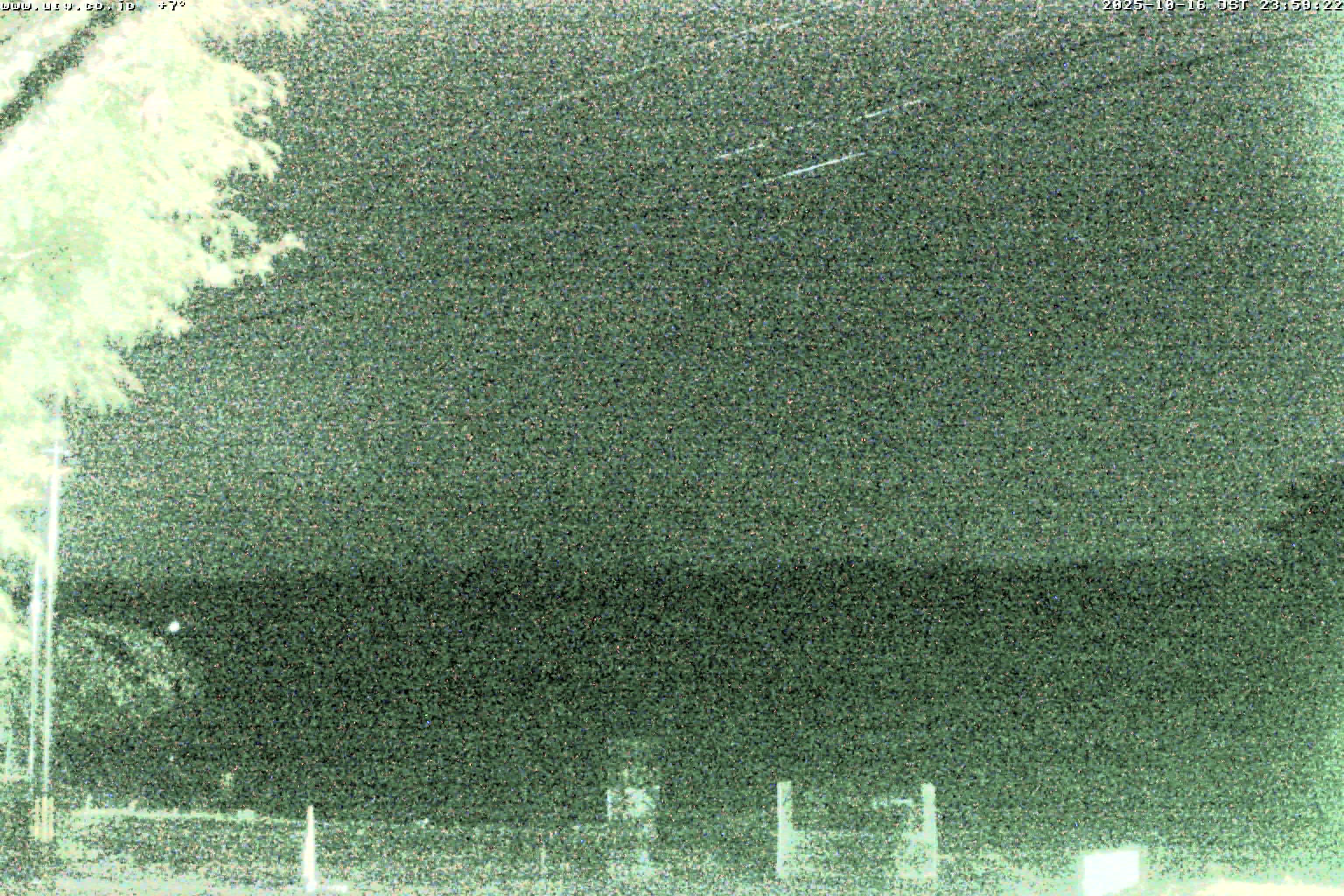 西湖ライブカメラ