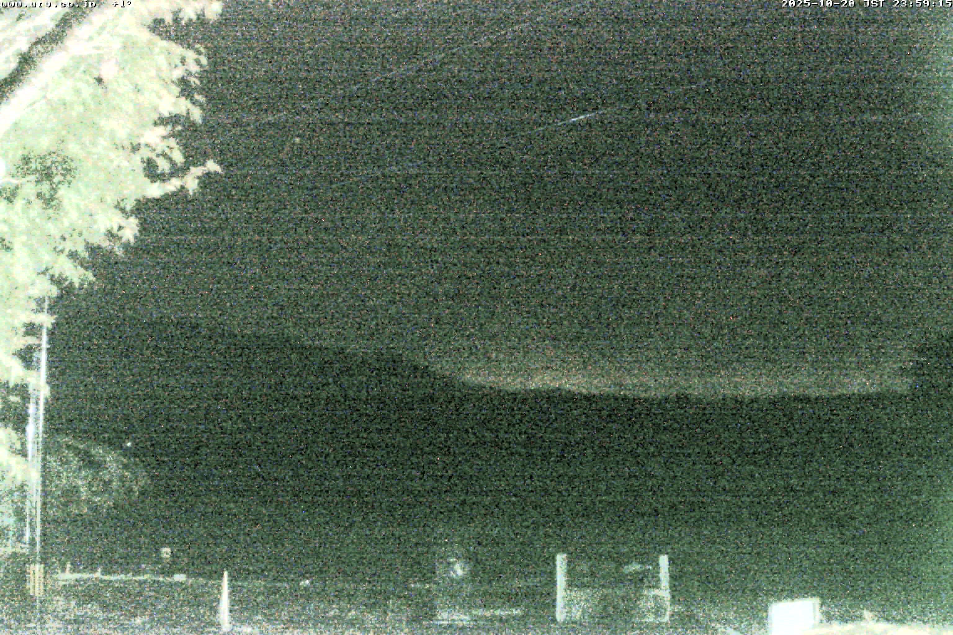 西湖ライブカメラ