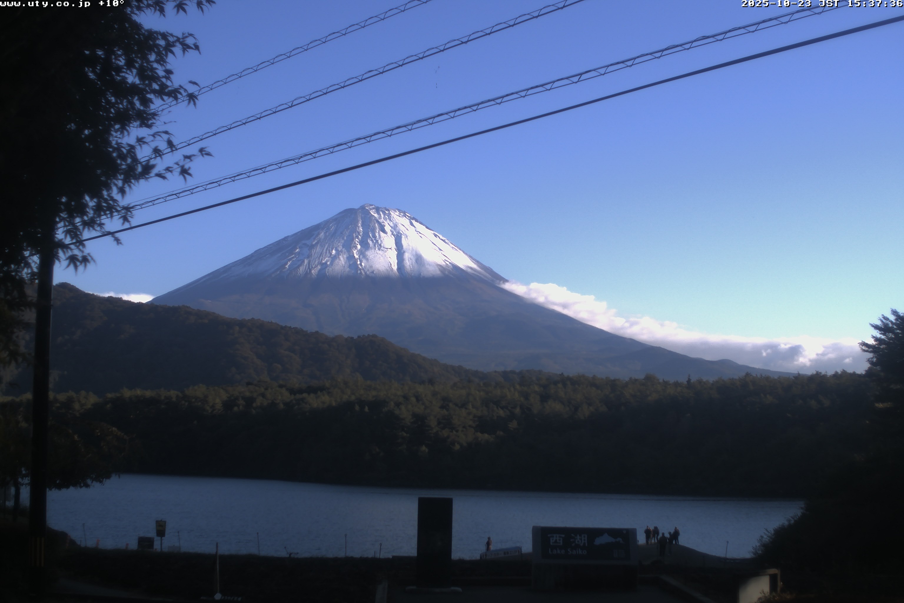 西湖ライブカメラ