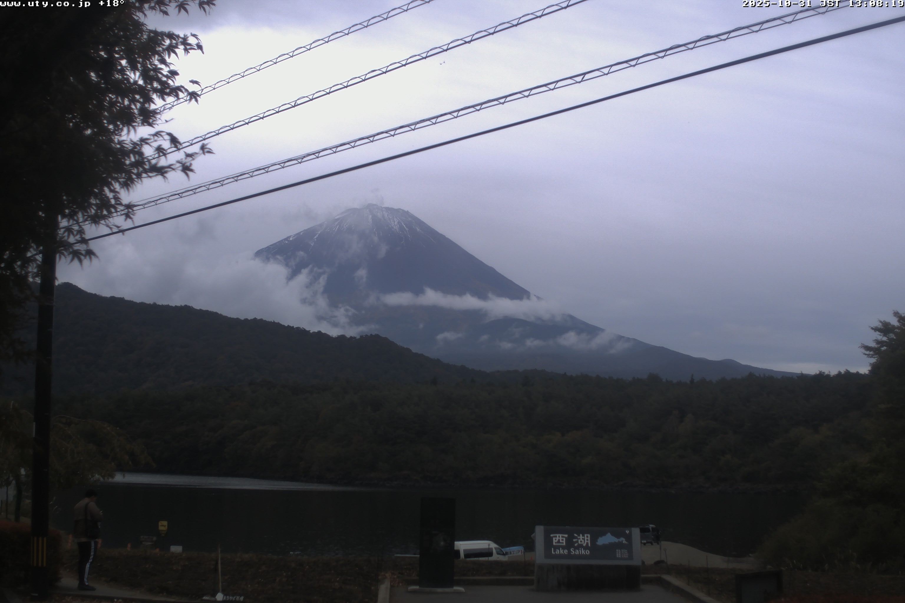 西湖ライブカメラ