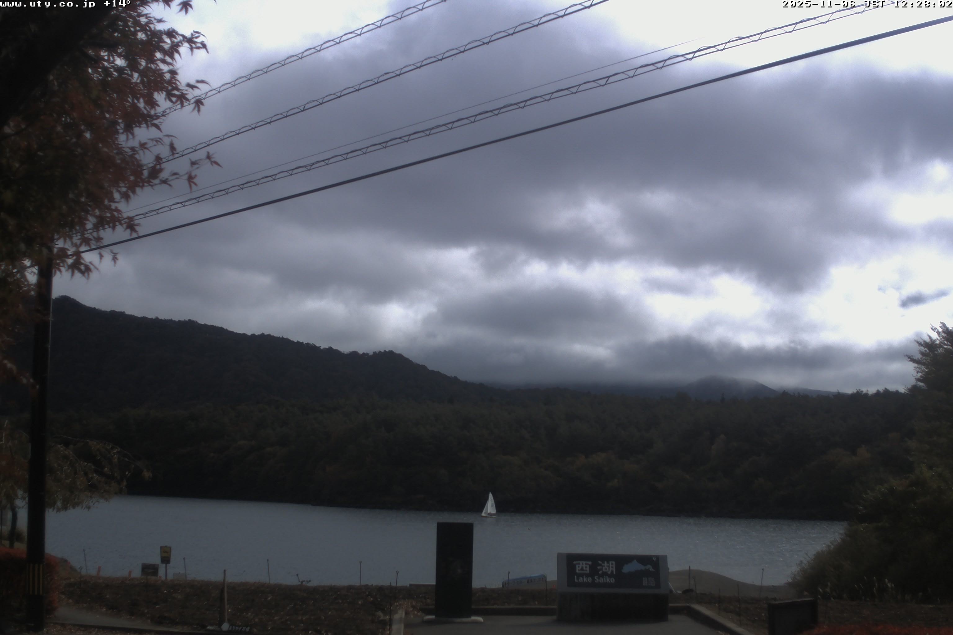 西湖ライブカメラ