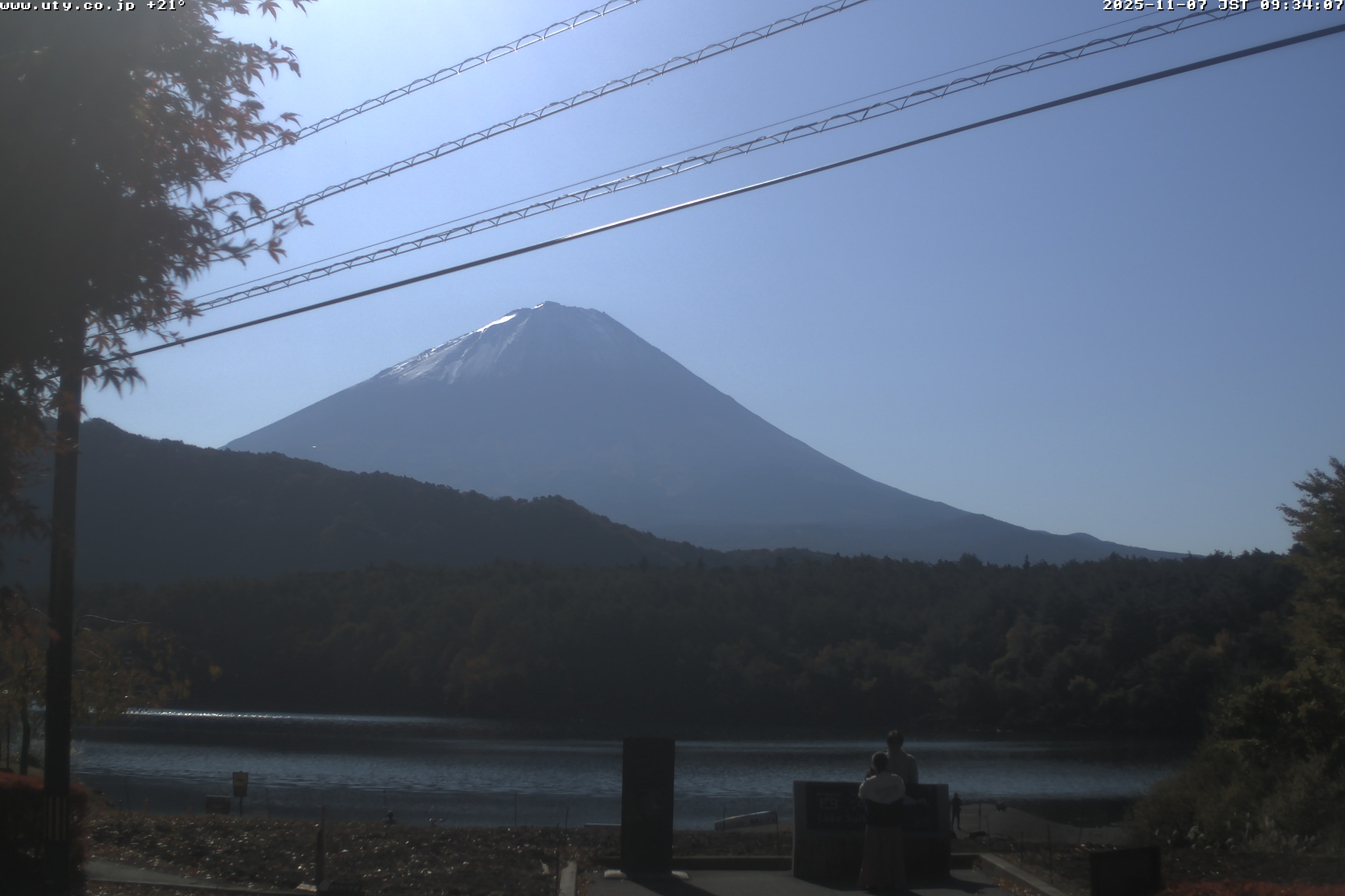 西湖ライブカメラ