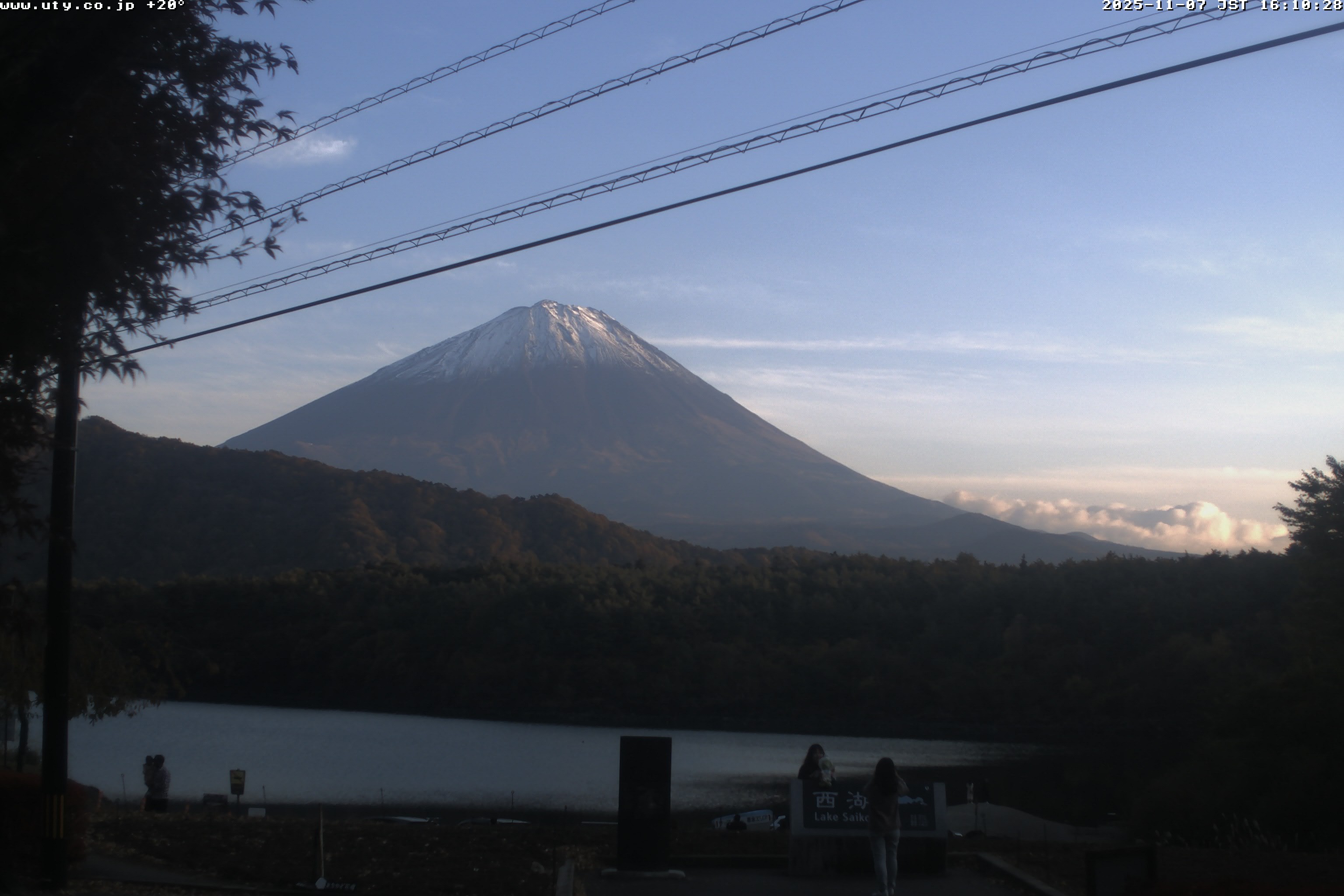 西湖ライブカメラ