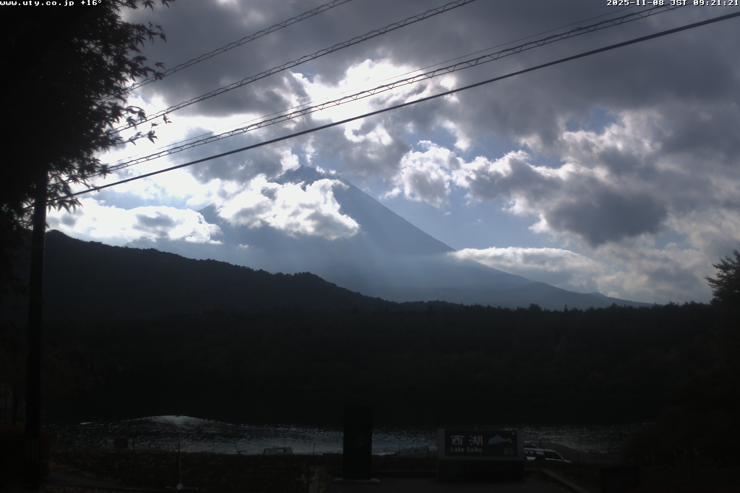 西湖ライブカメラ