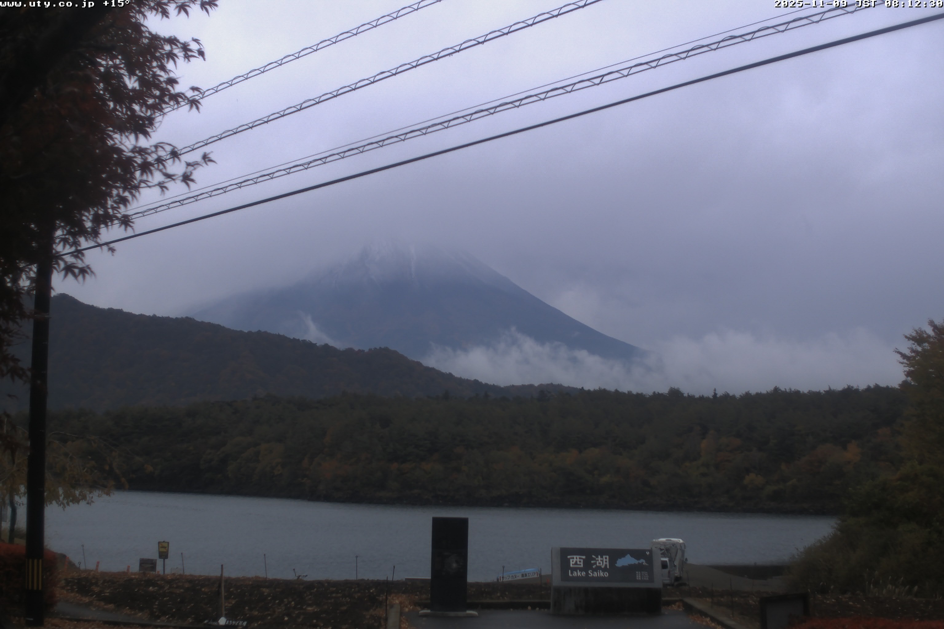 西湖ライブカメラ