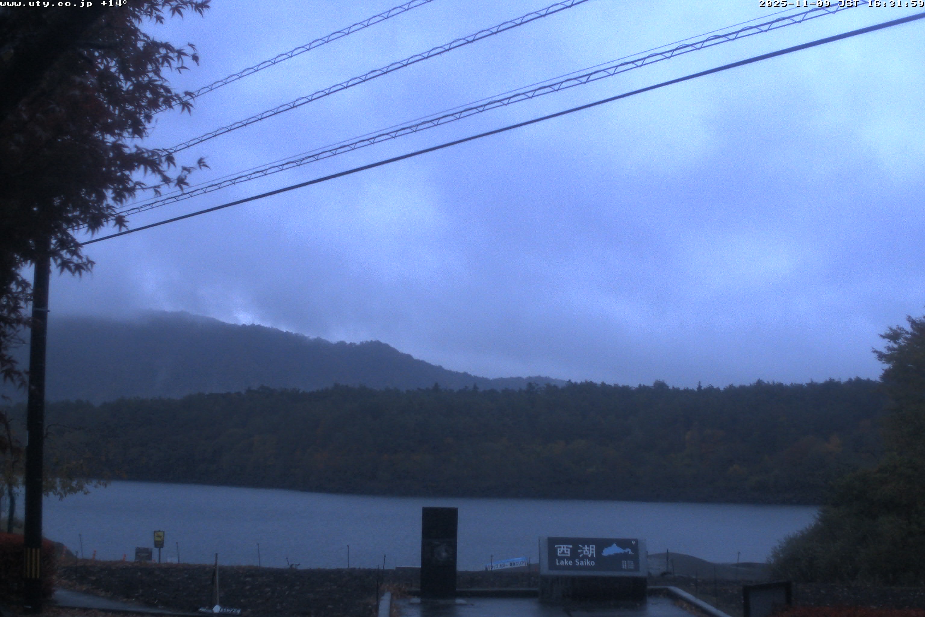 西湖ライブカメラ
