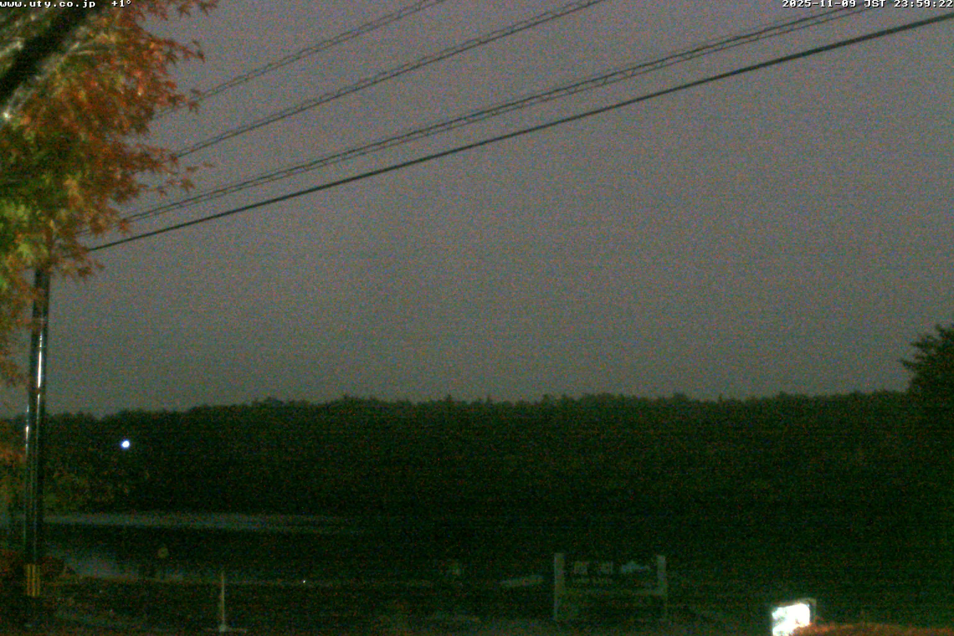 西湖ライブカメラ