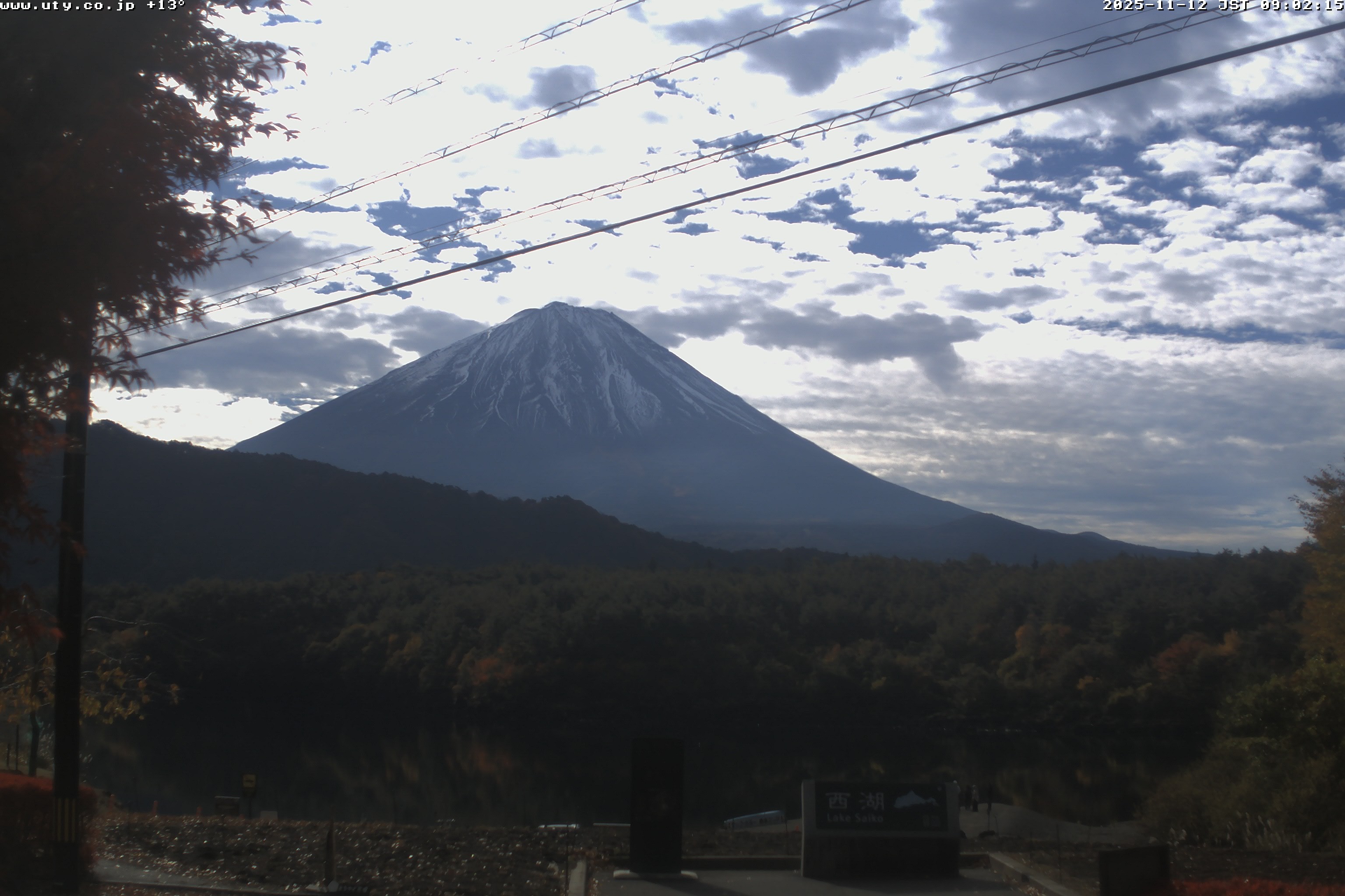 西湖ライブカメラ