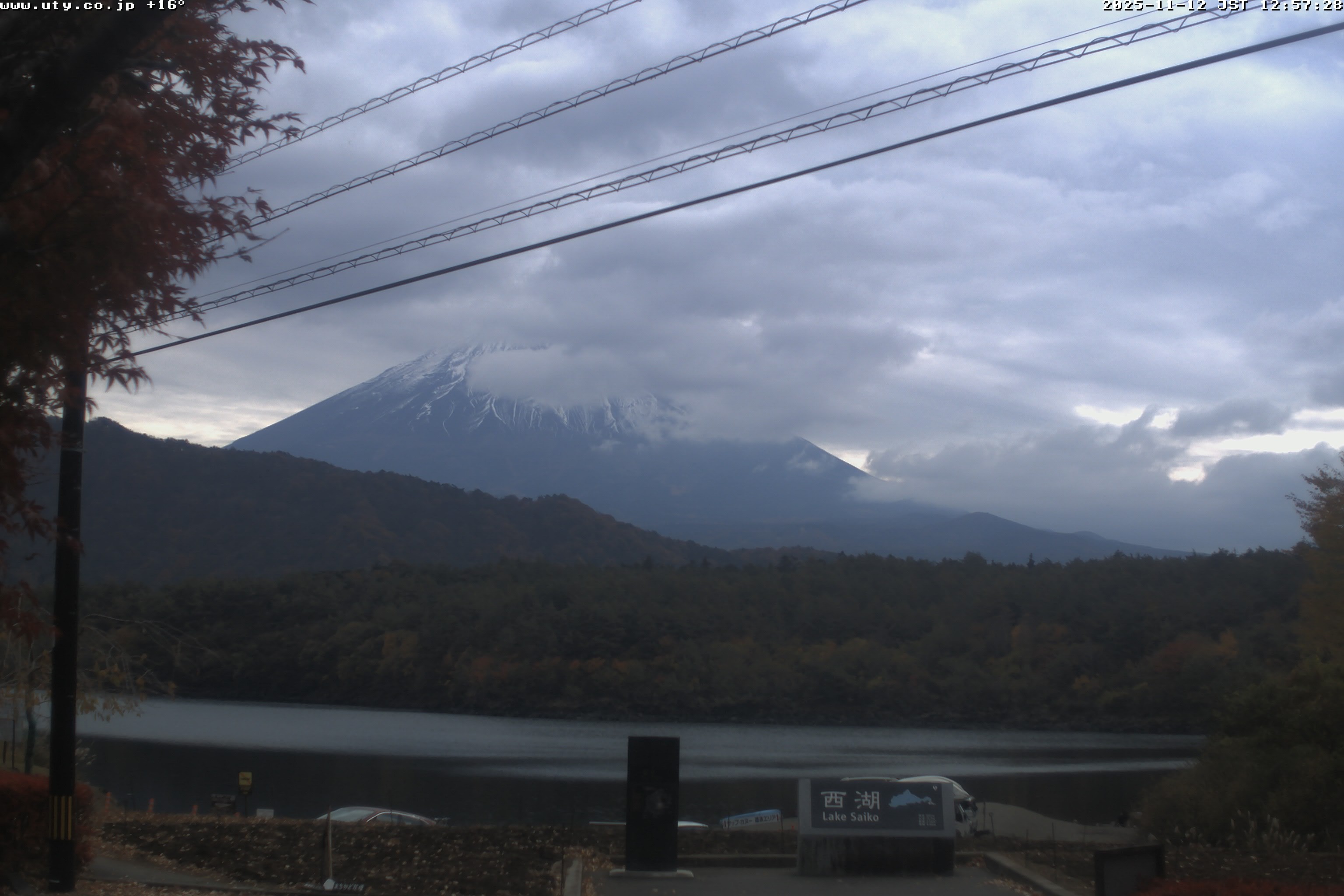 西湖ライブカメラ