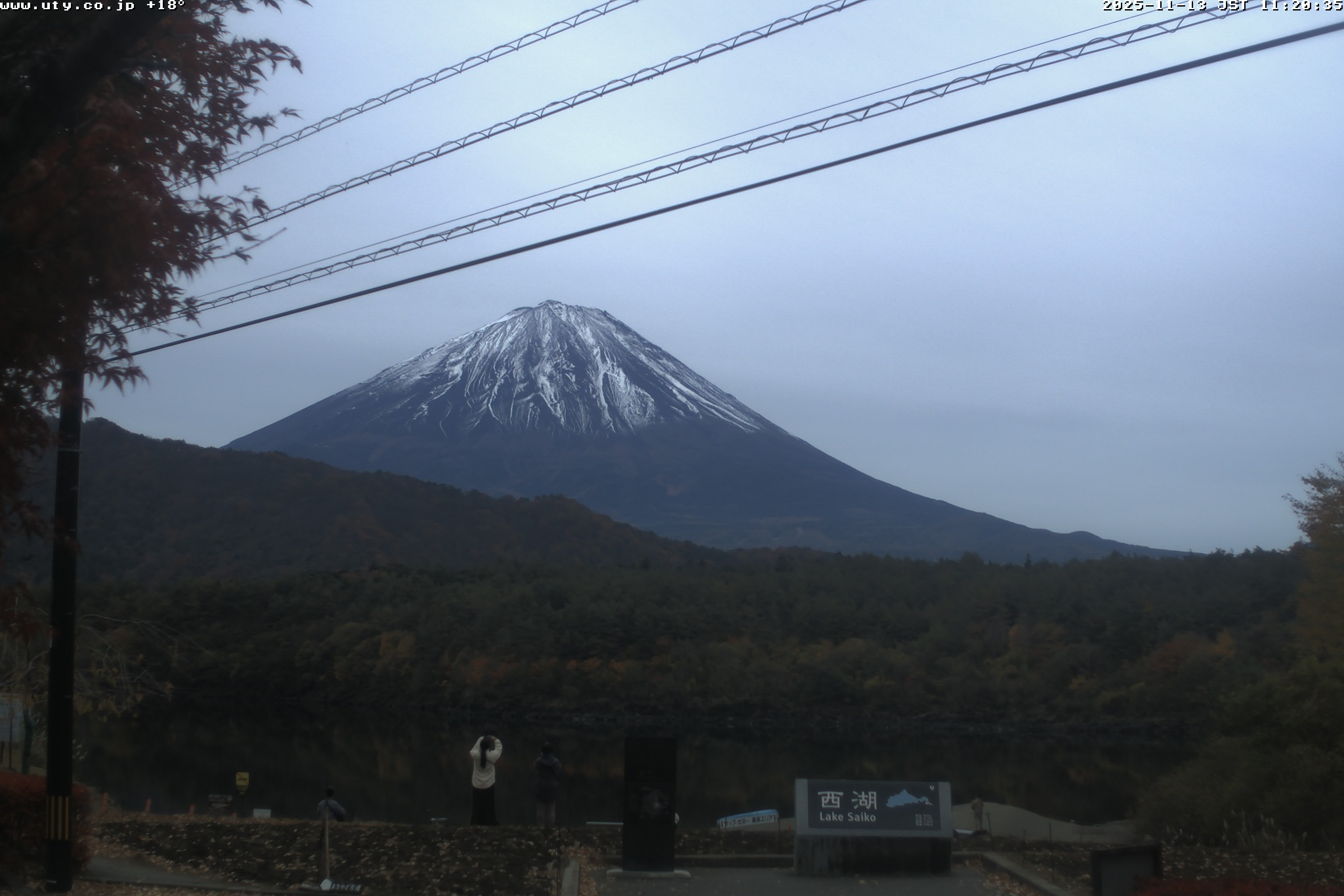 西湖ライブカメラ