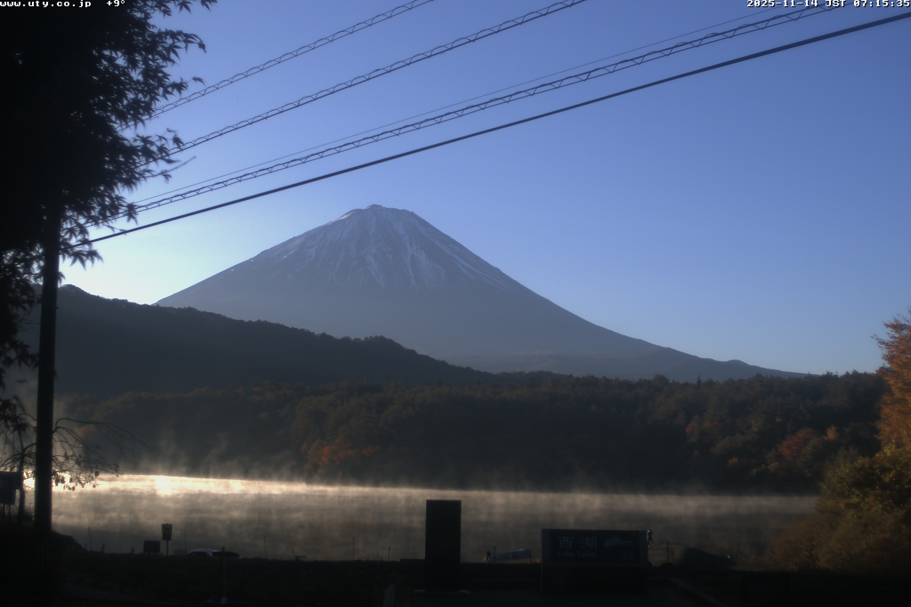 西湖ライブカメラ
