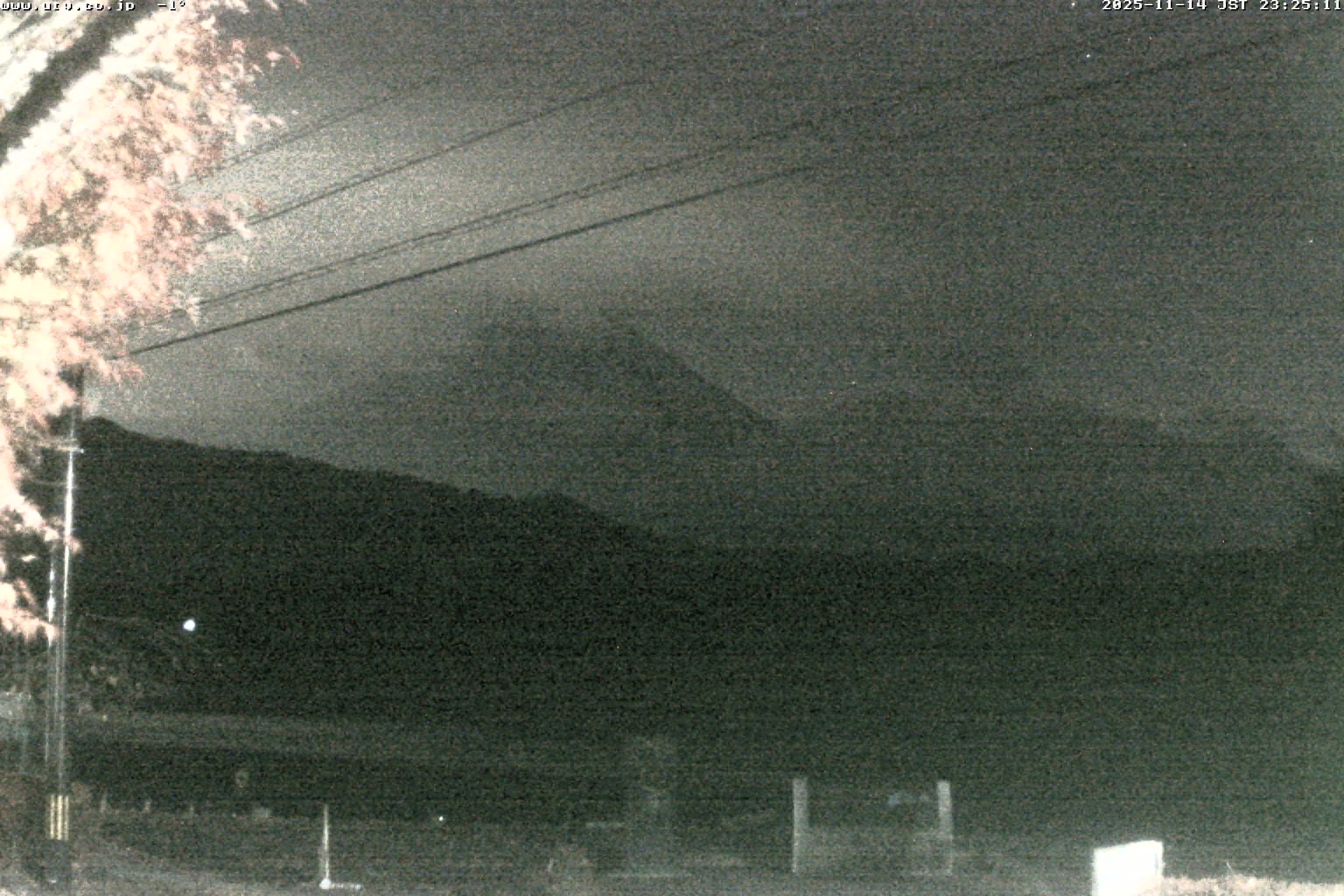 西湖ライブカメラ