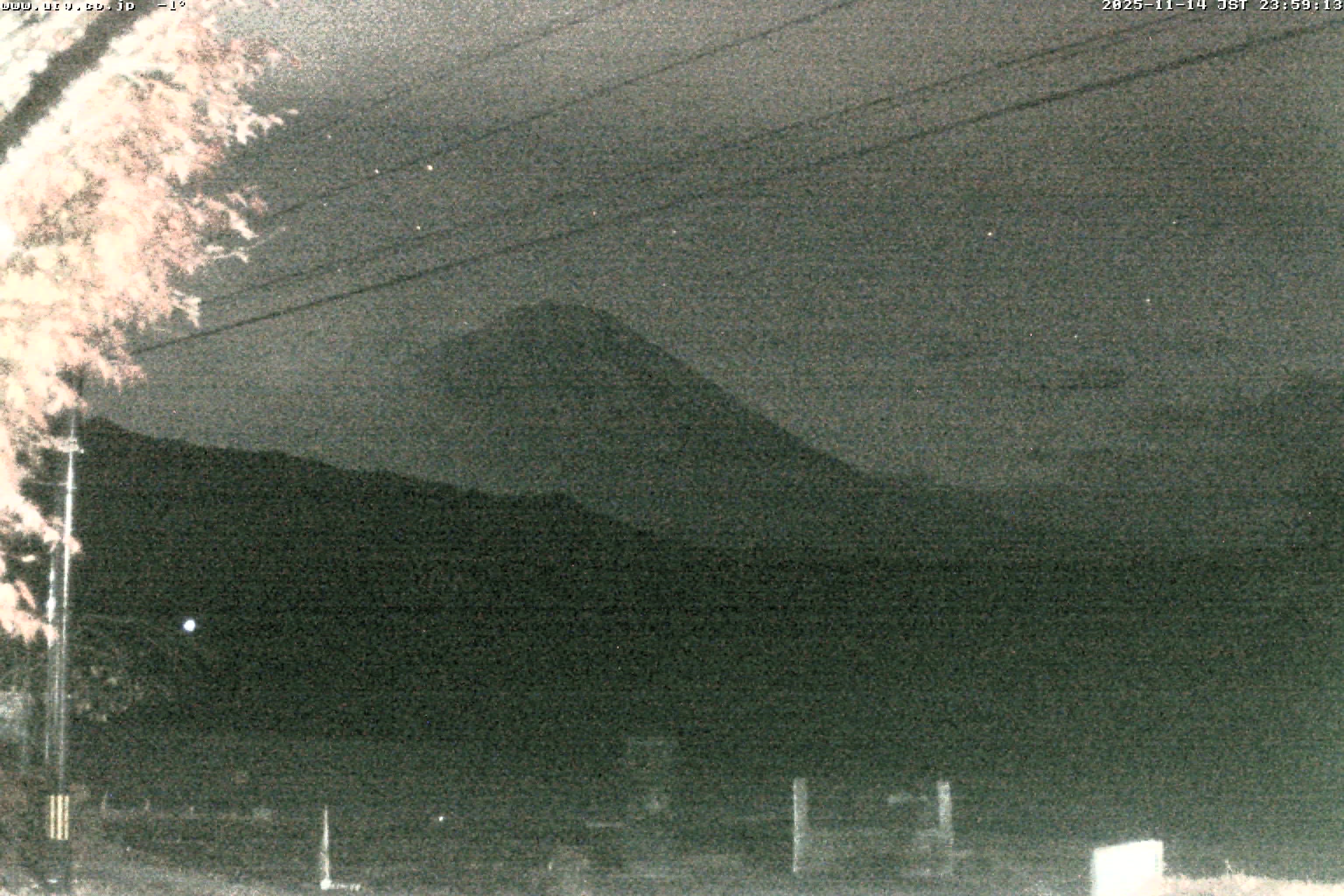 西湖ライブカメラ