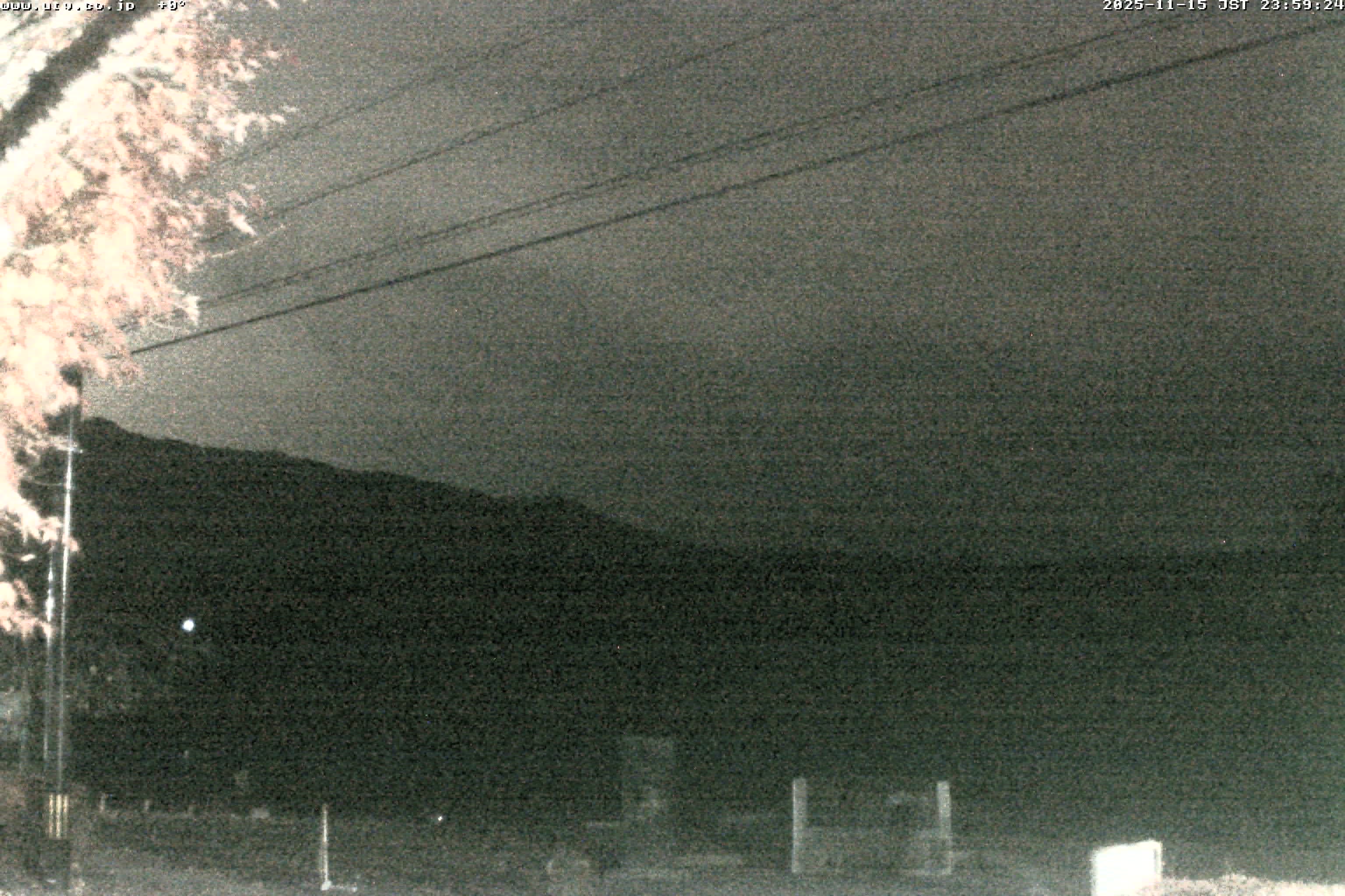 西湖ライブカメラ