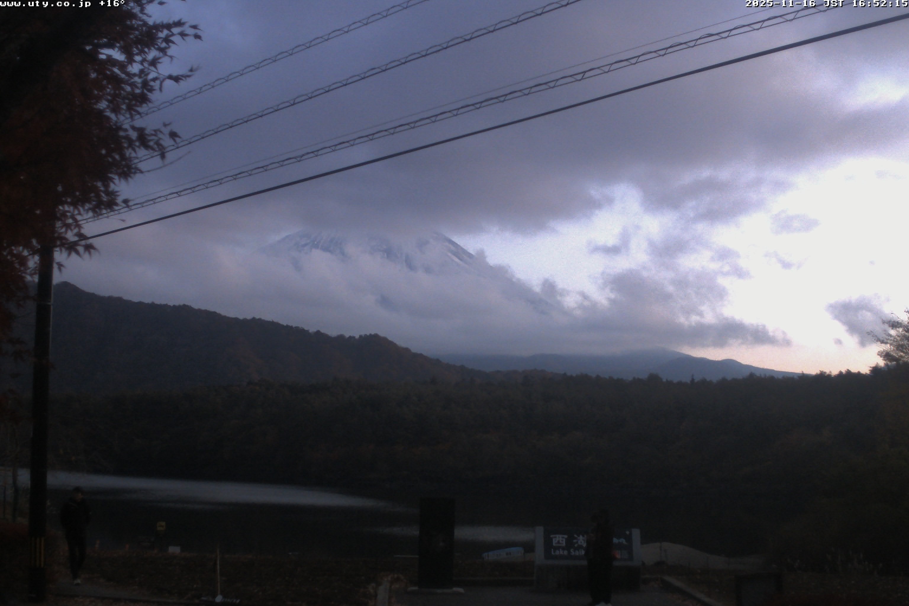 西湖ライブカメラ