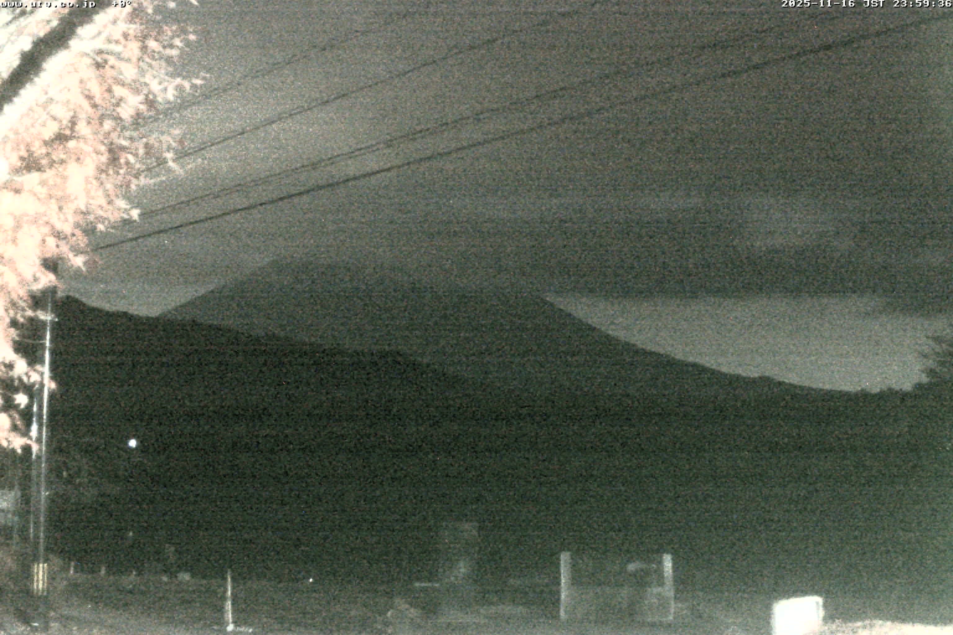 西湖ライブカメラ