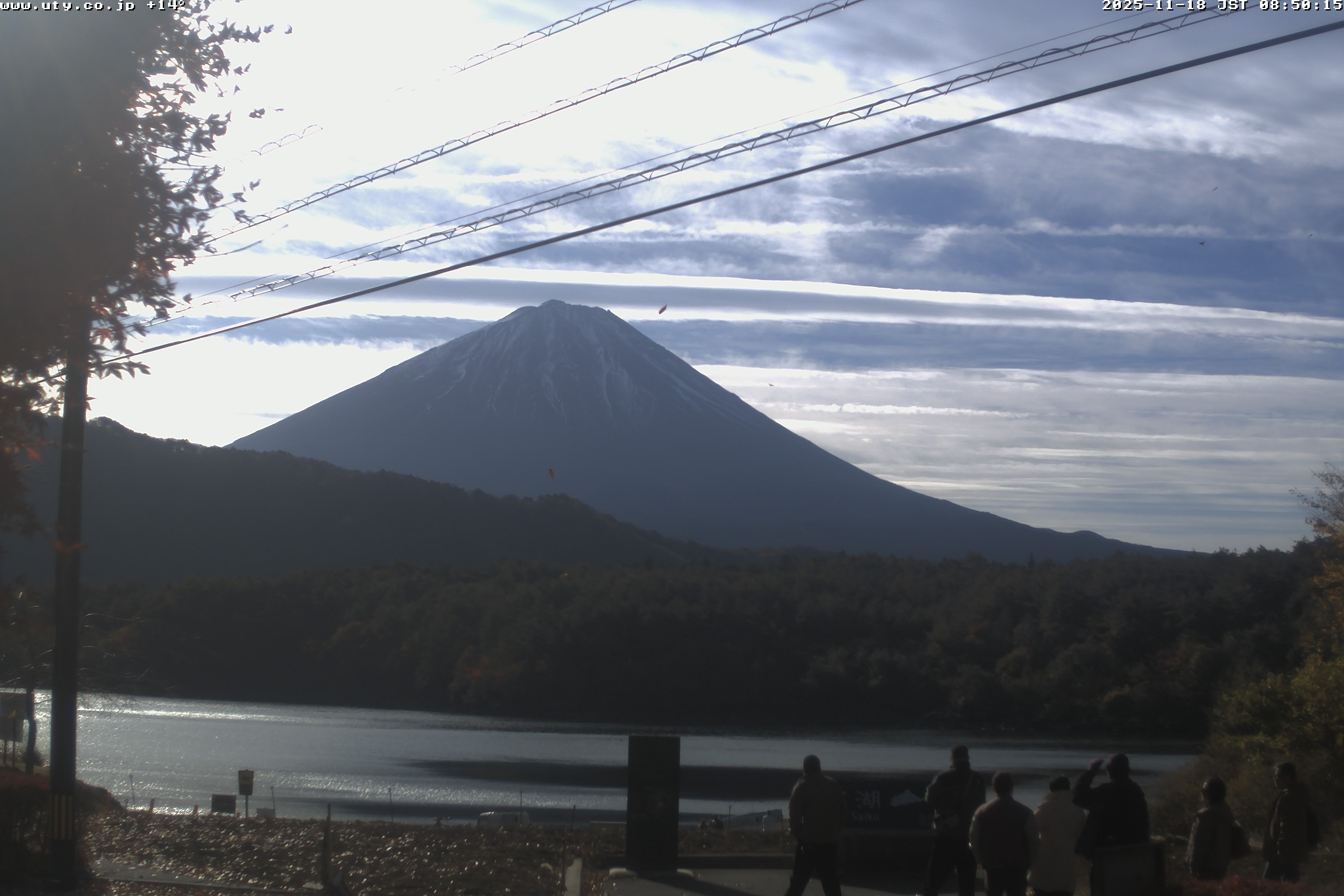 西湖ライブカメラ