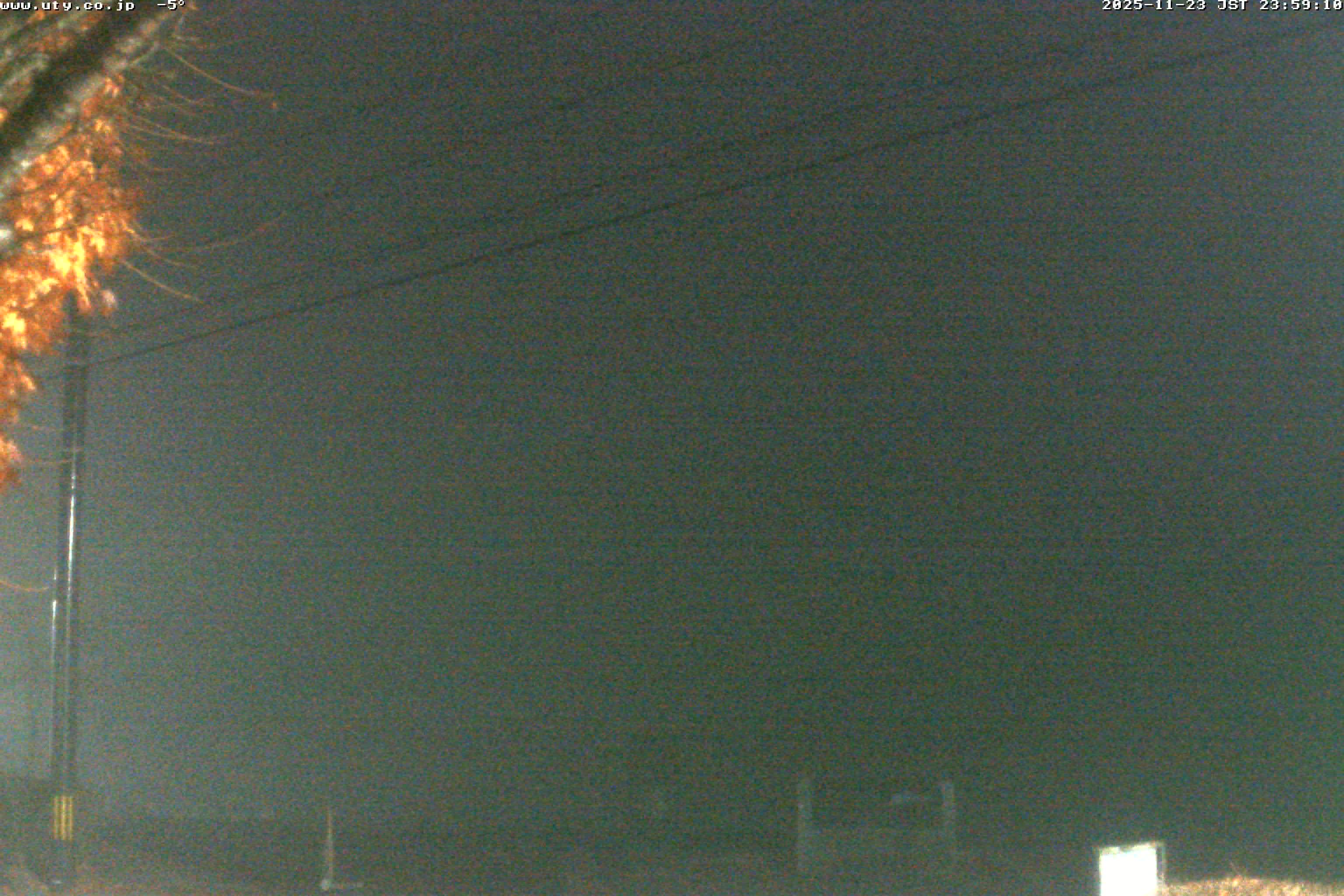 西湖ライブカメラ