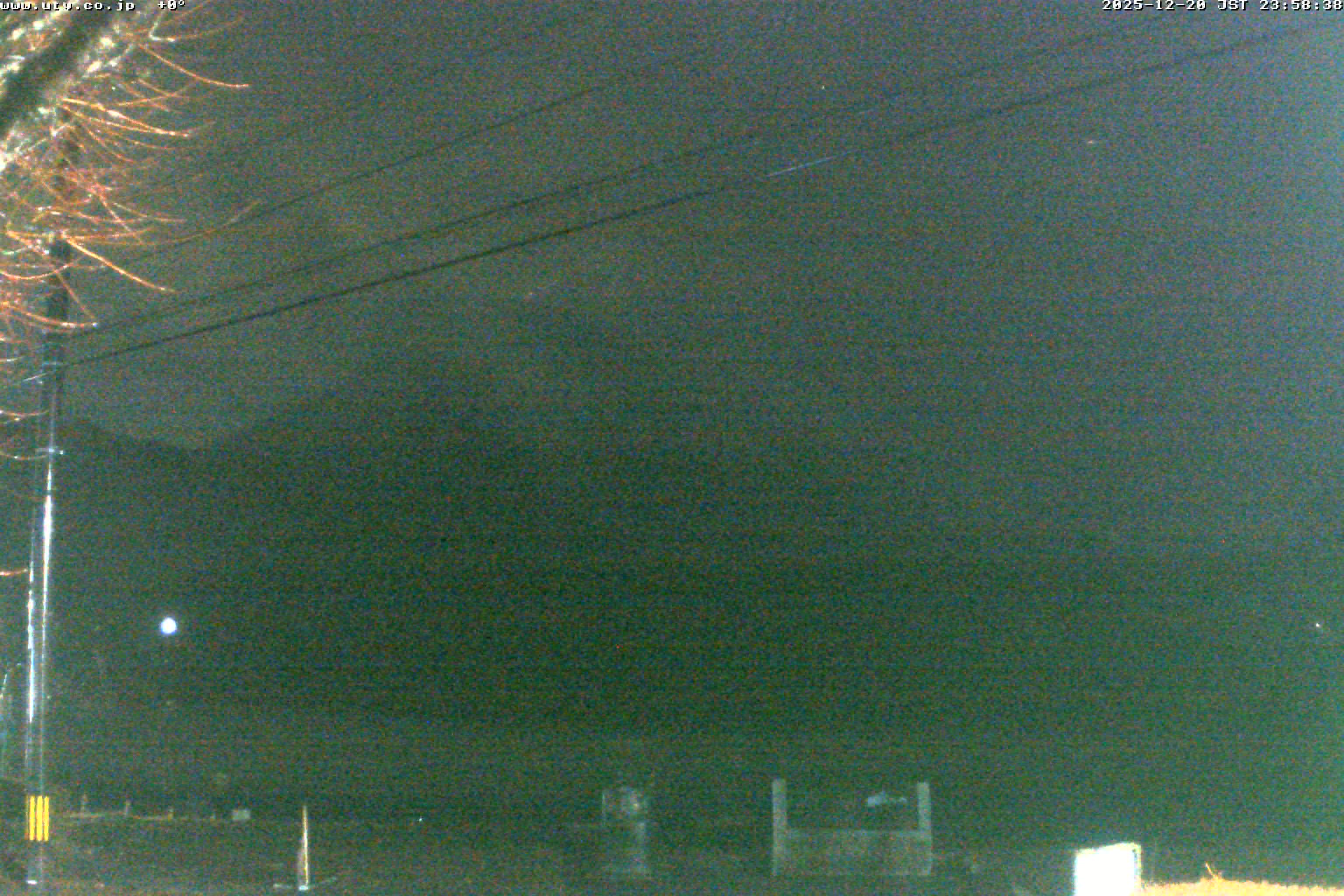 西湖ライブカメラ