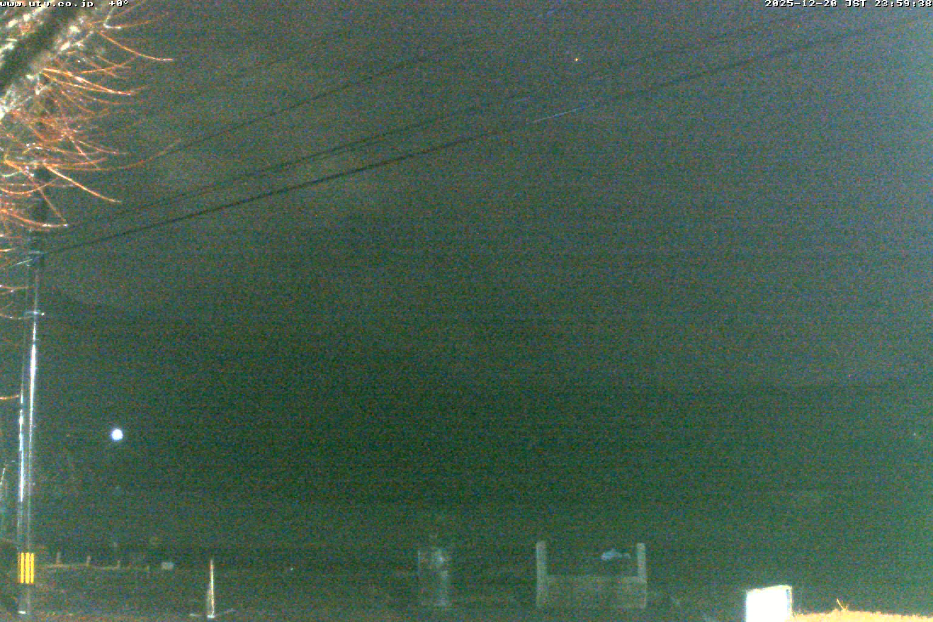 西湖ライブカメラ