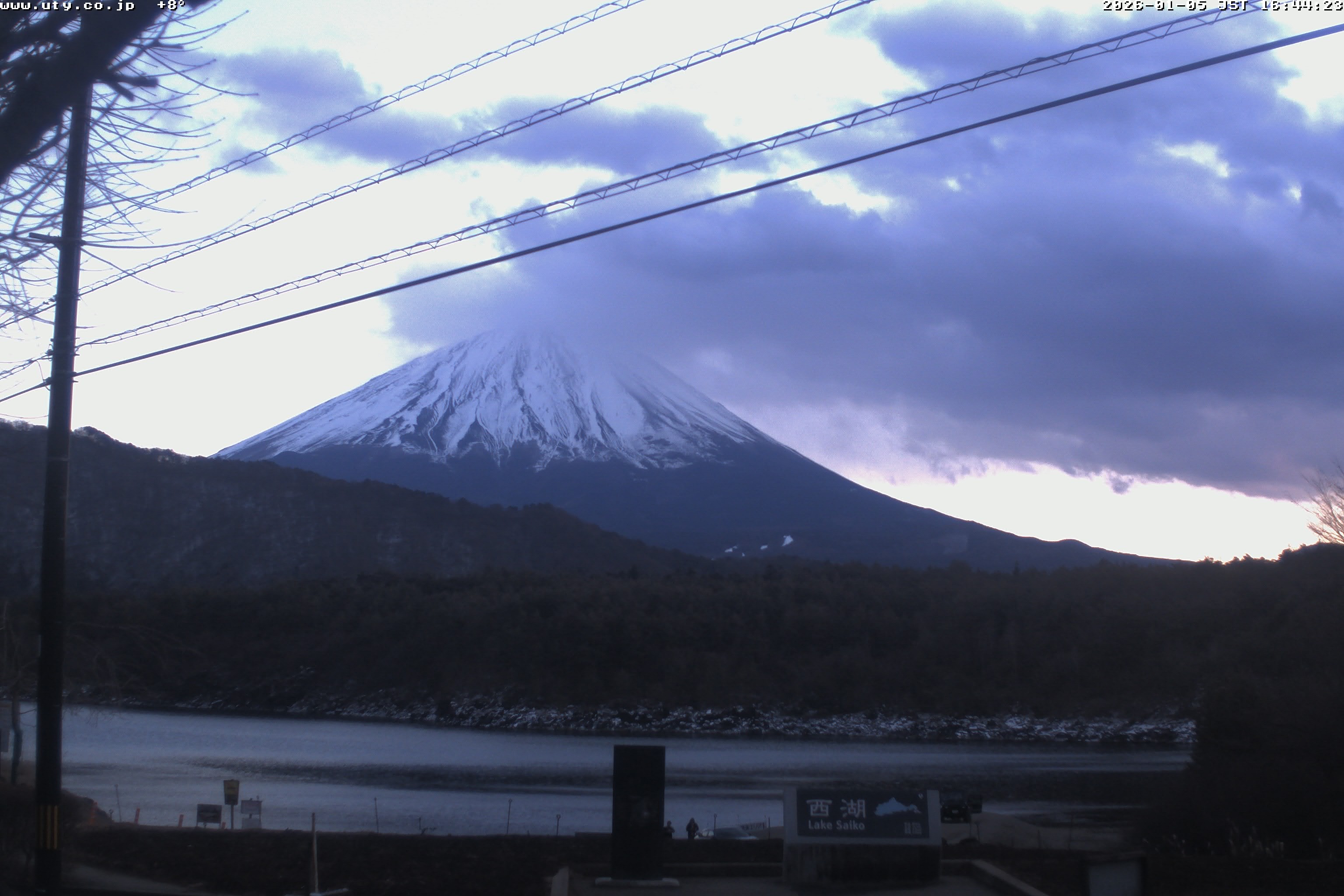 西湖ライブカメラ