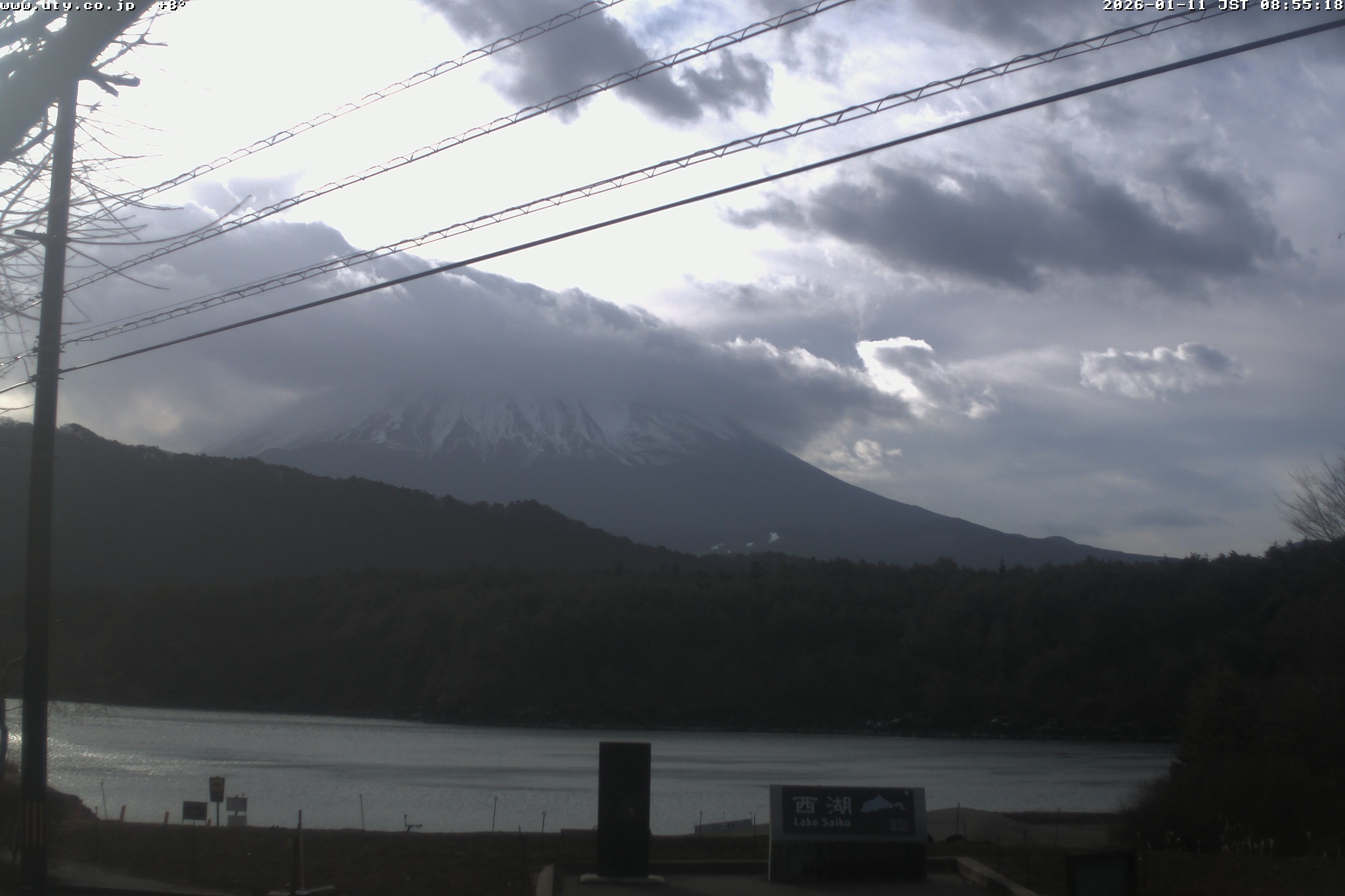 西湖ライブカメラ