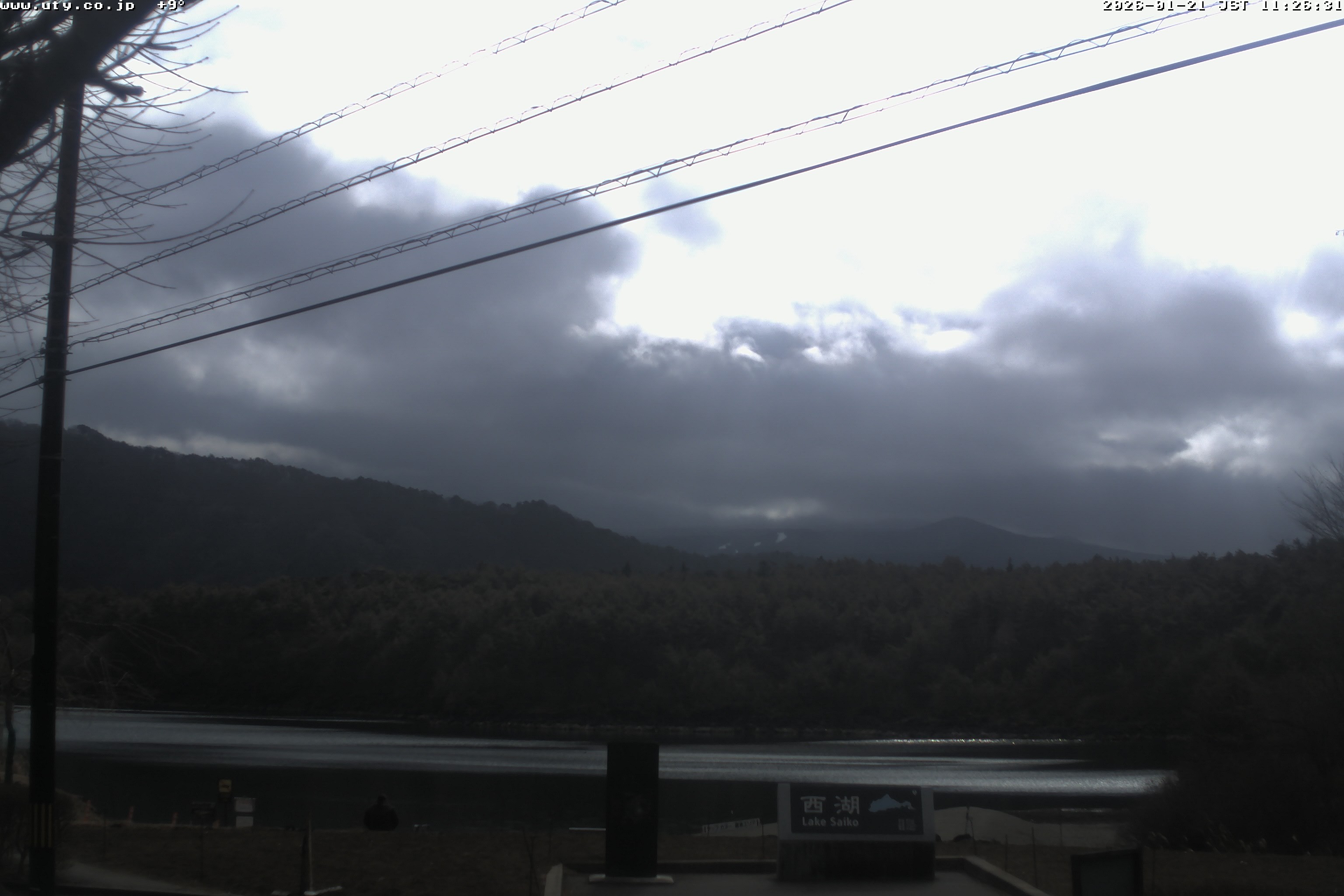 西湖ライブカメラ