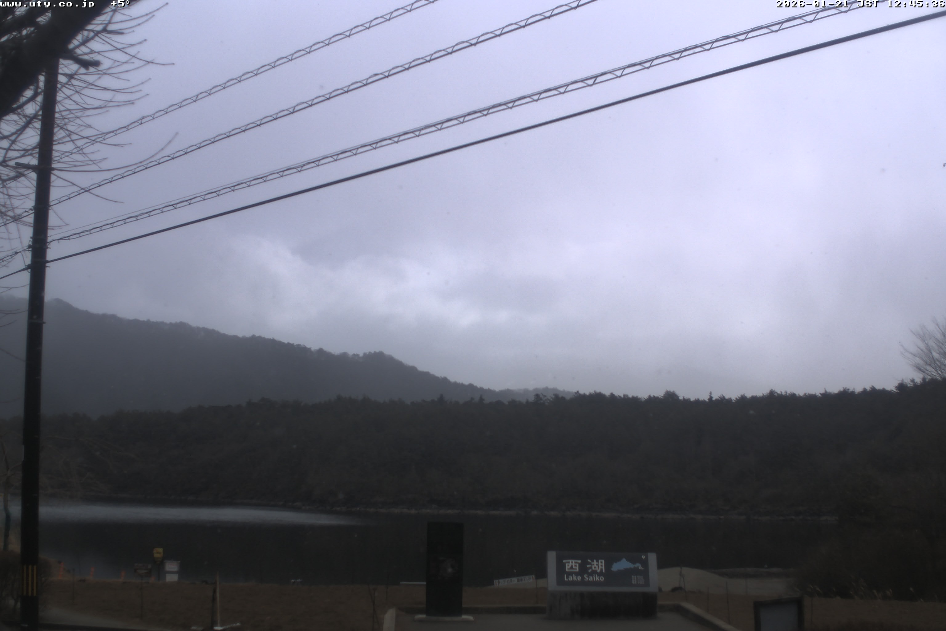 西湖ライブカメラ