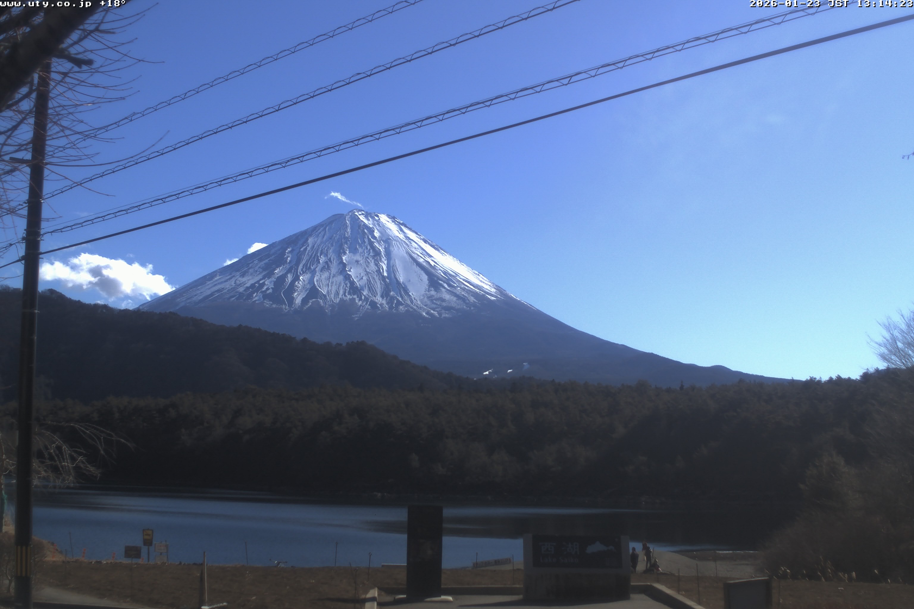 西湖ライブカメラ
