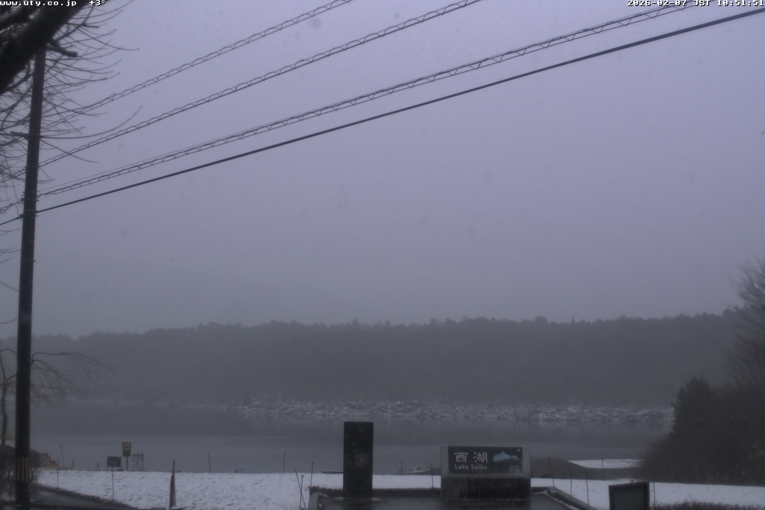 西湖ライブカメラ