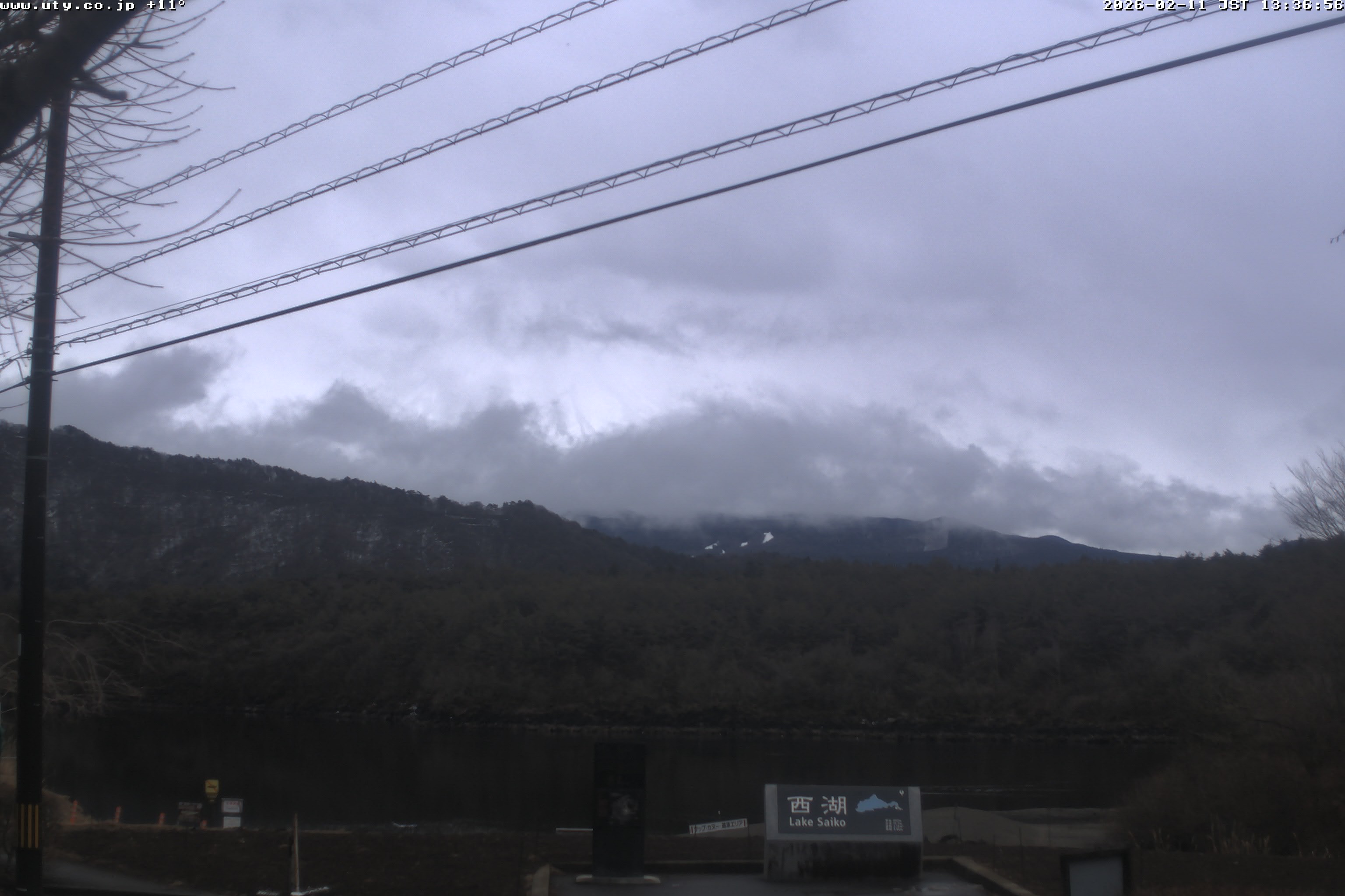 西湖ライブカメラ