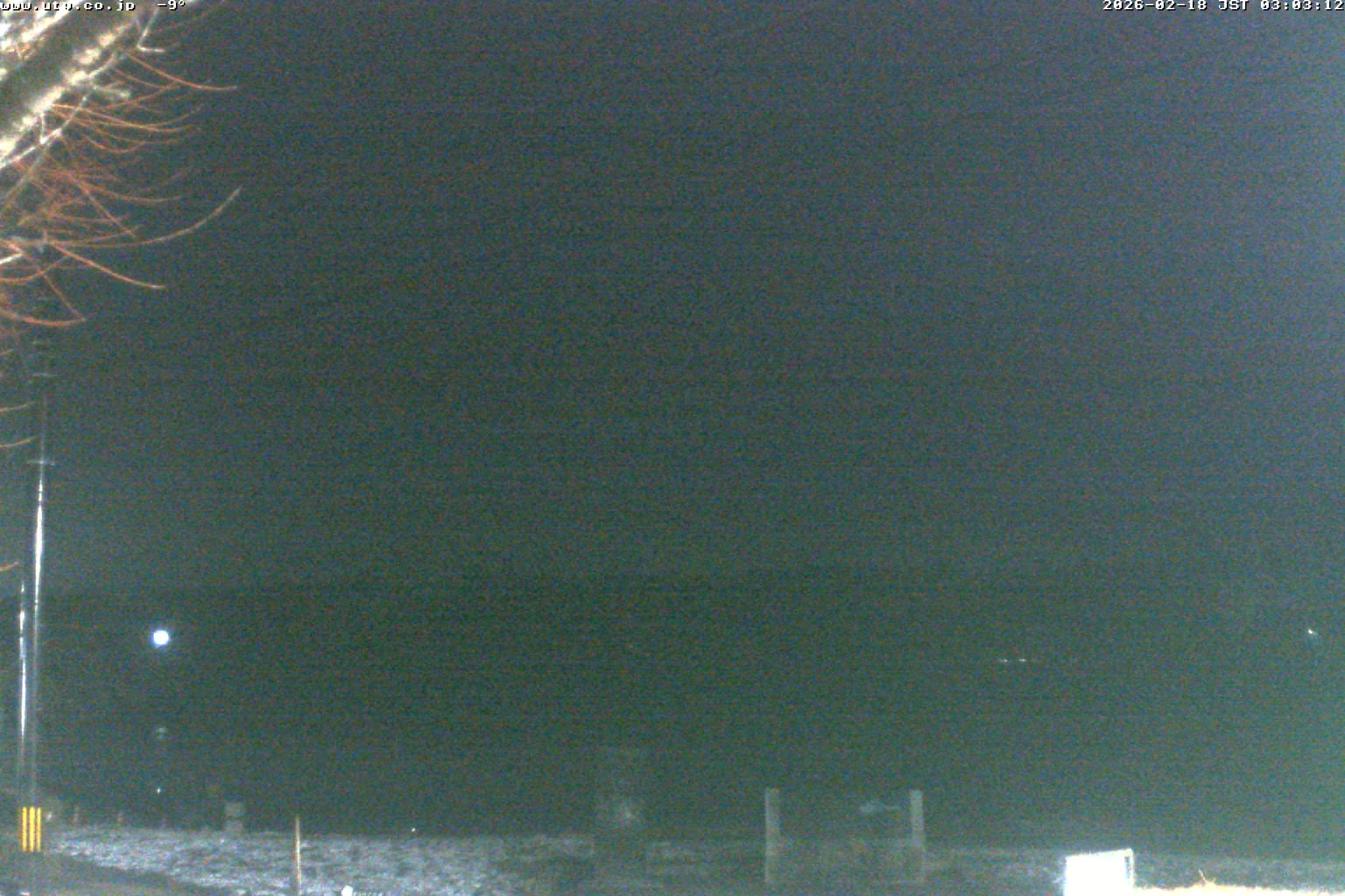 西湖ライブカメラ