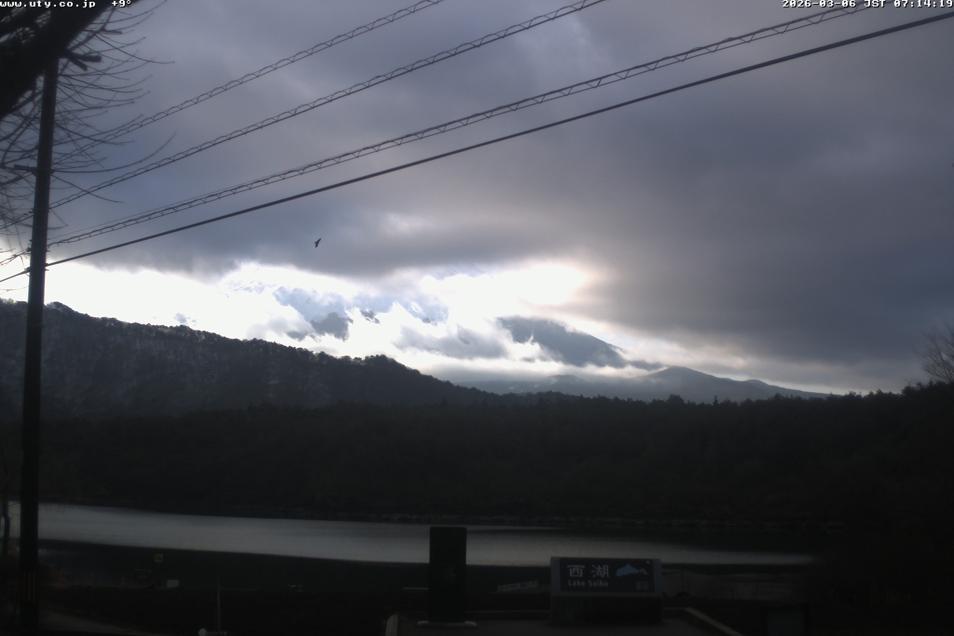 西湖ライブカメラ