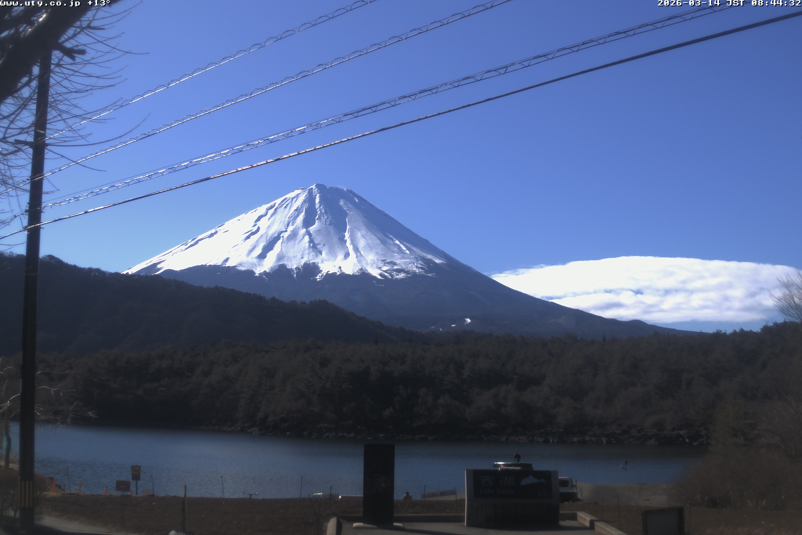 西湖ライブカメラ