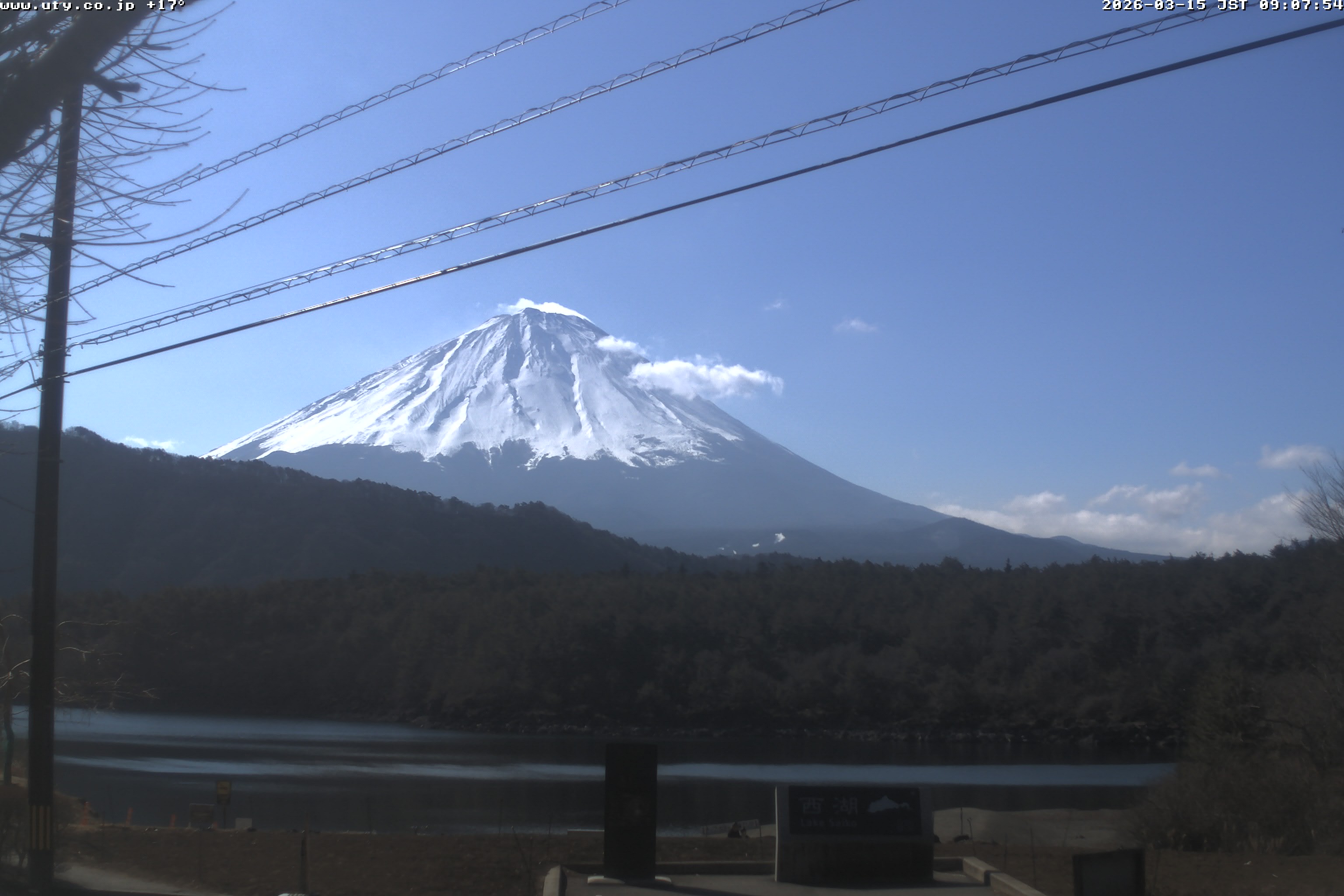西湖ライブカメラ