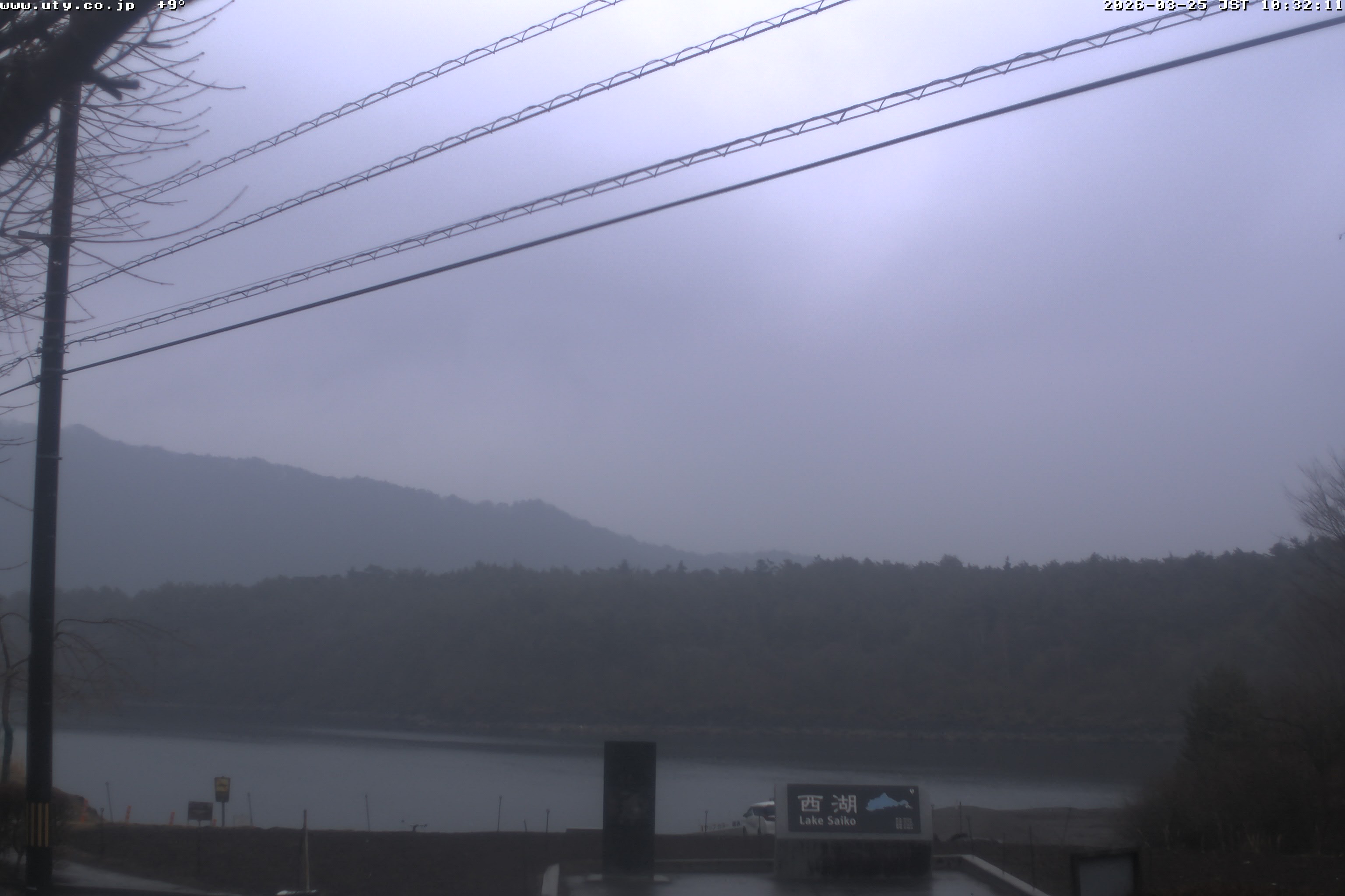 西湖ライブカメラ