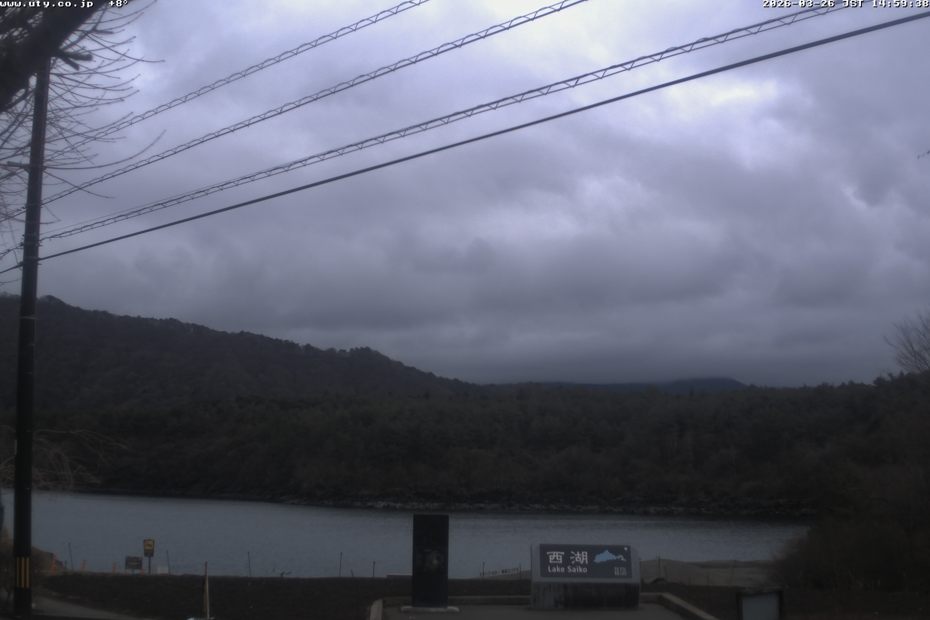 西湖ライブカメラ