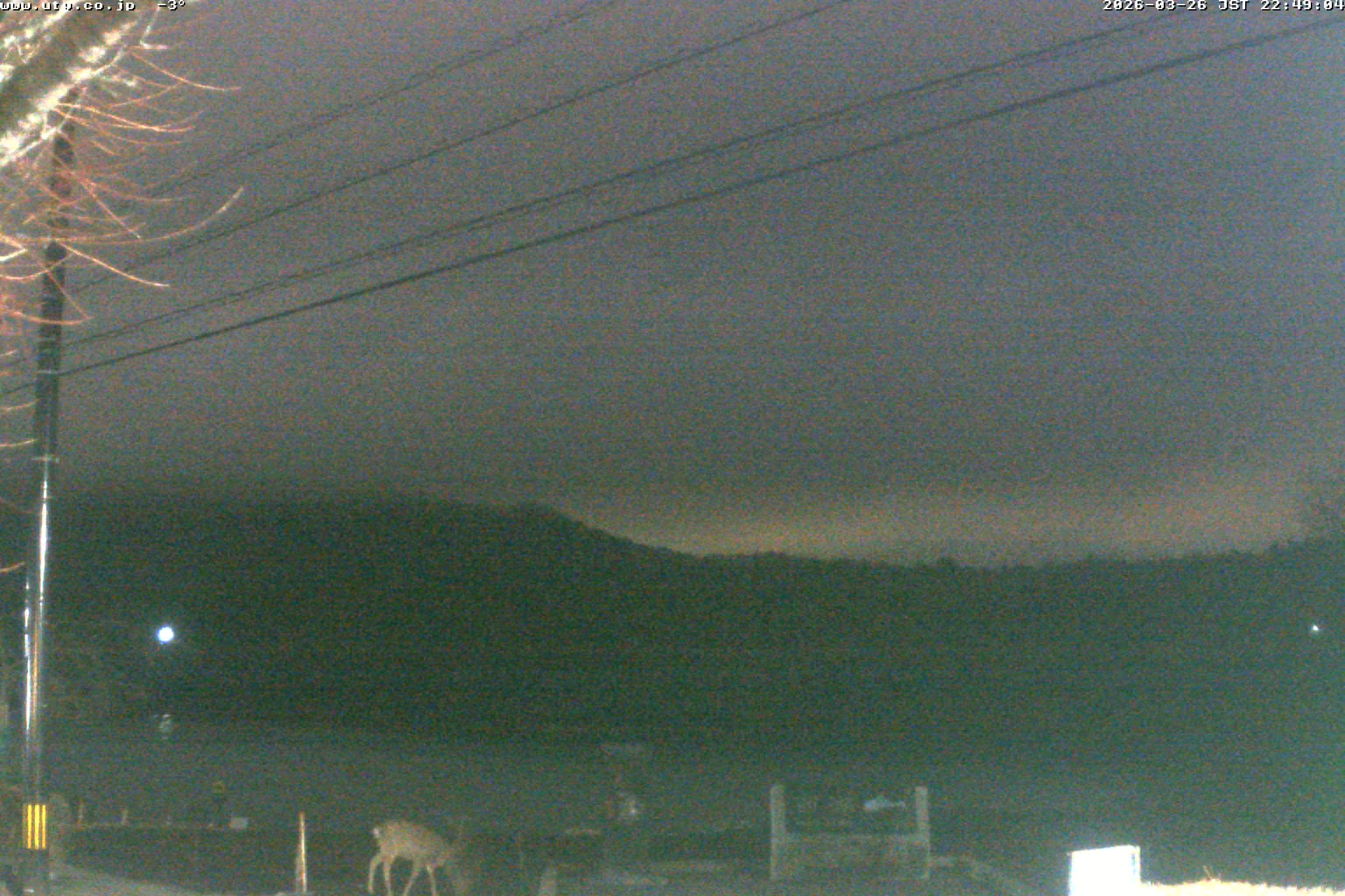 西湖ライブカメラ