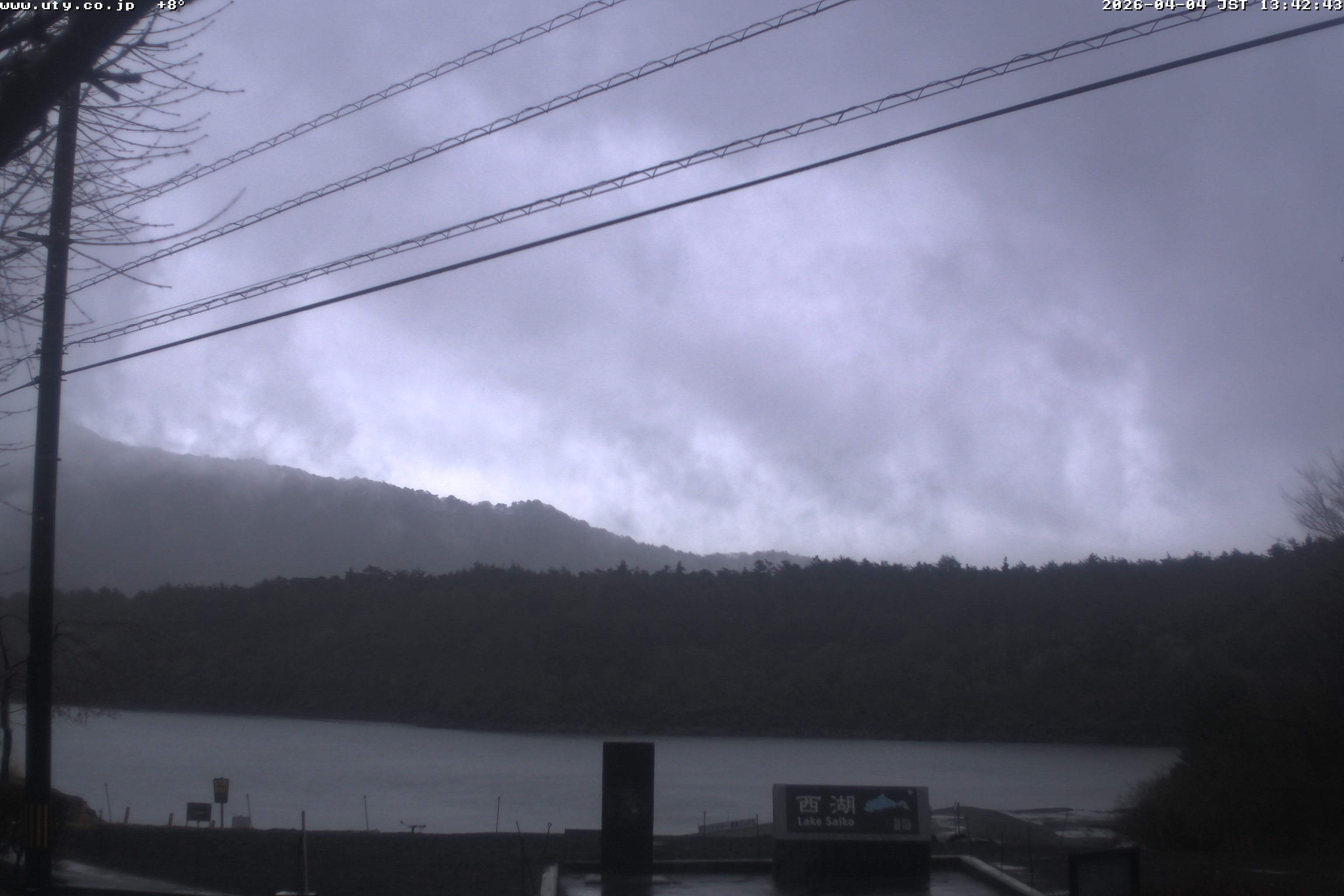 西湖ライブカメラ