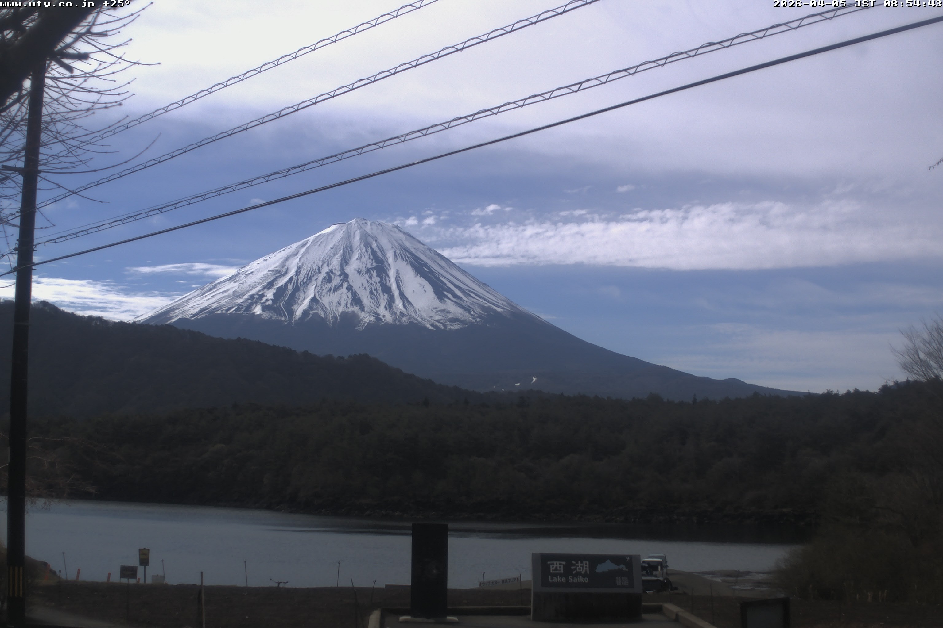 西湖ライブカメラ