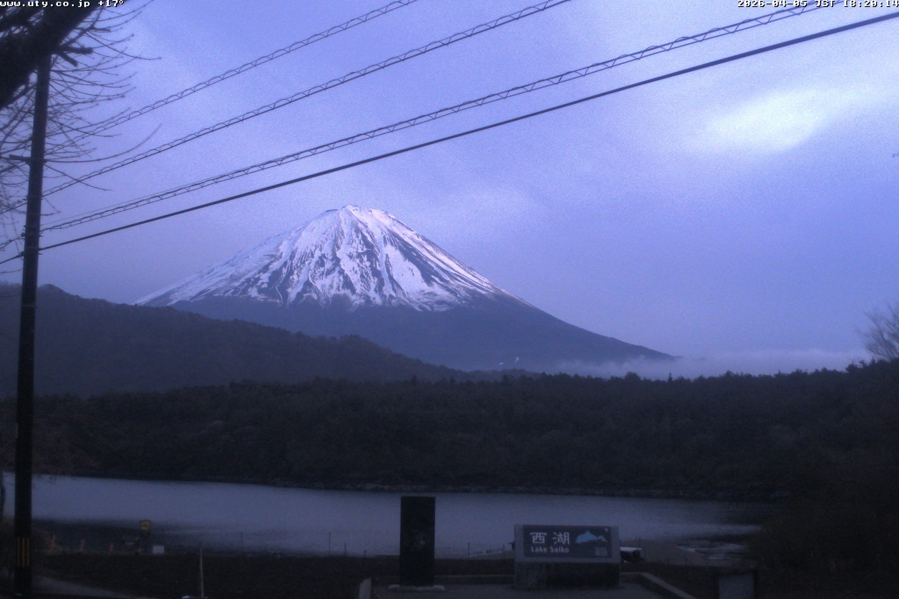 西湖ライブカメラ