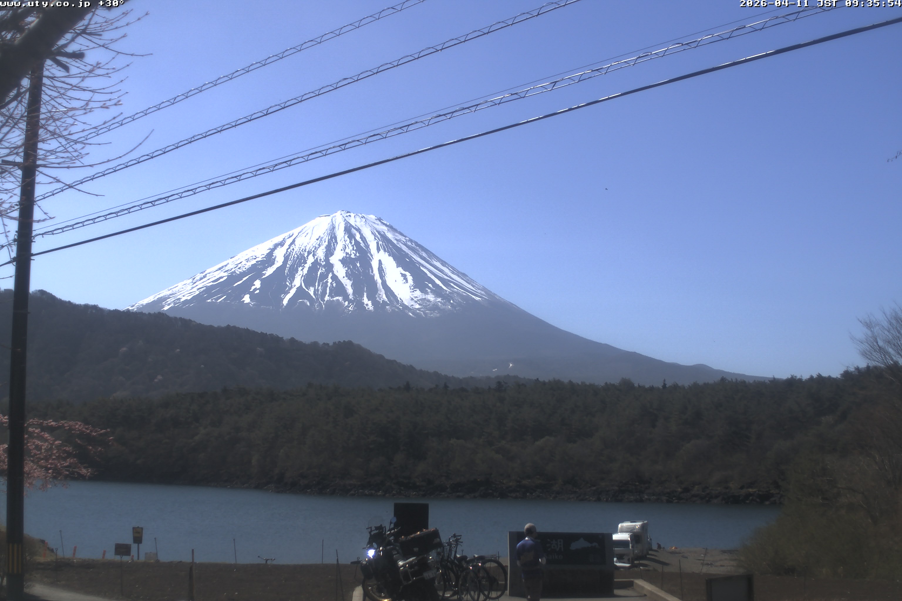 西湖ライブカメラ
