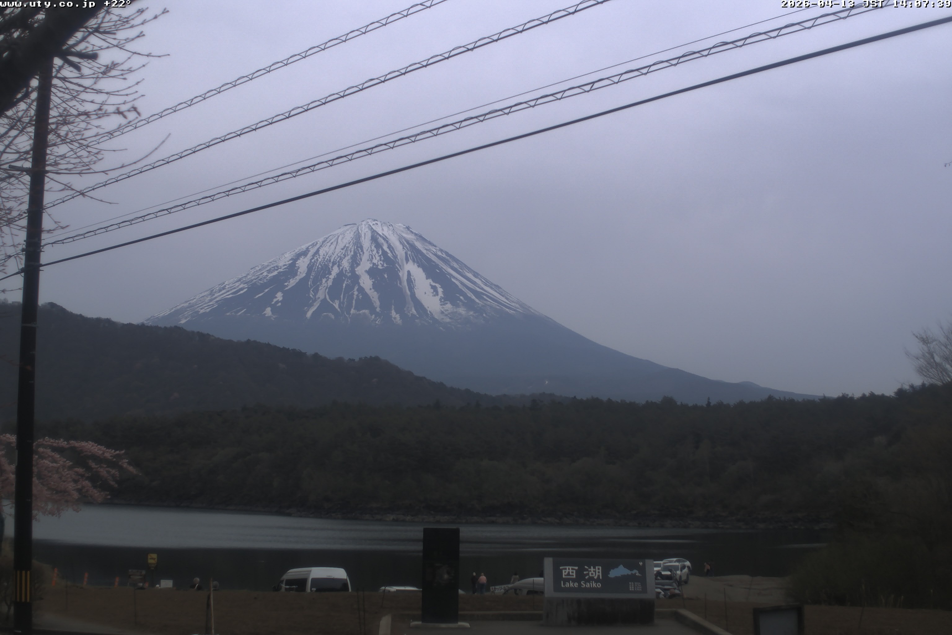 西湖ライブカメラ