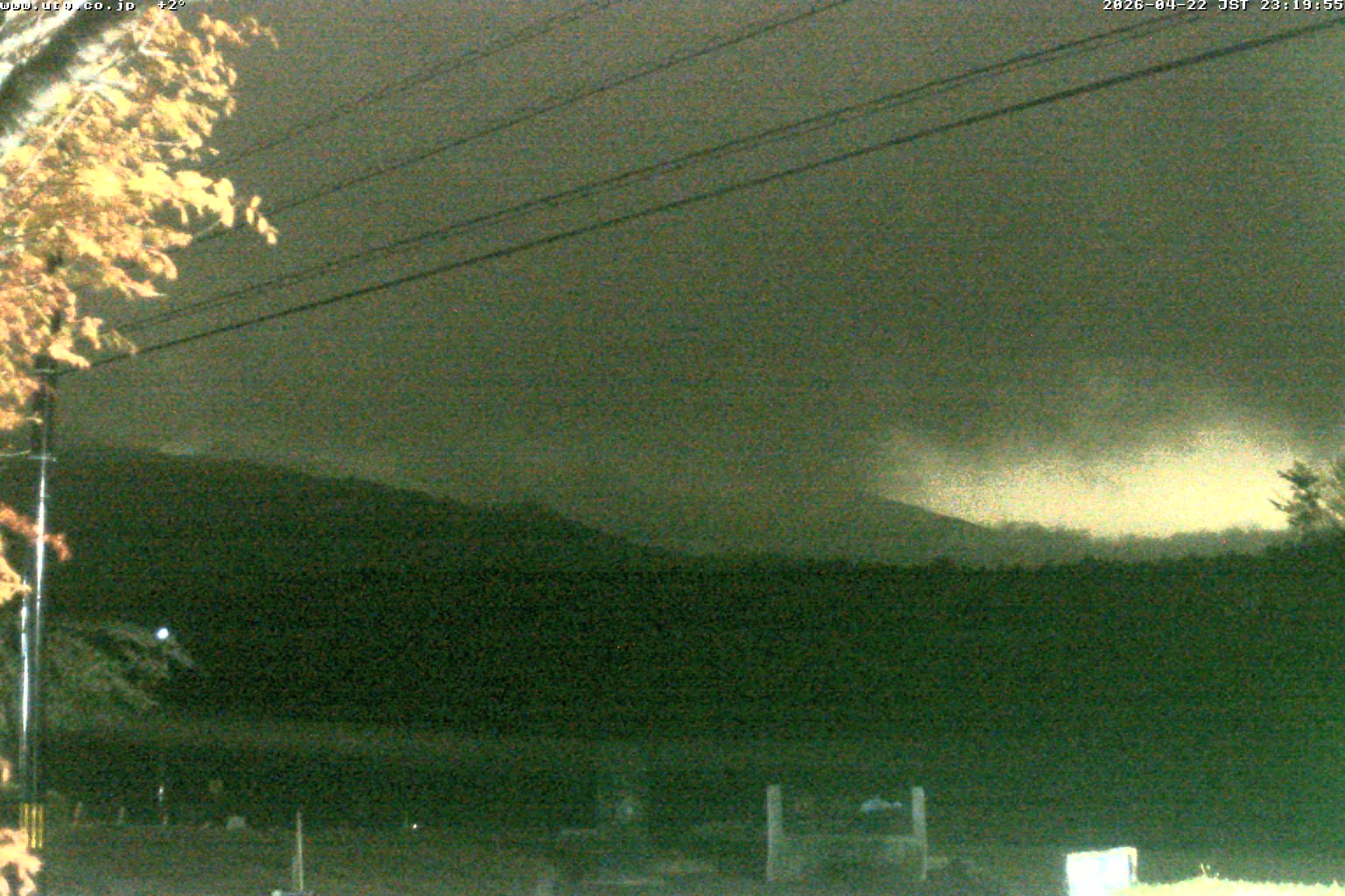 西湖ライブカメラ